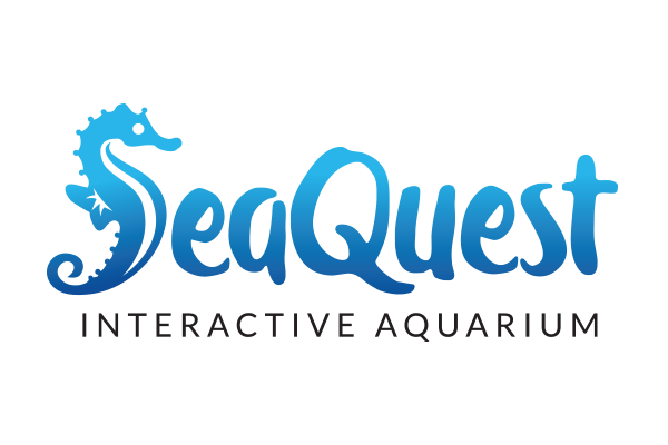 seaquest-logo.png