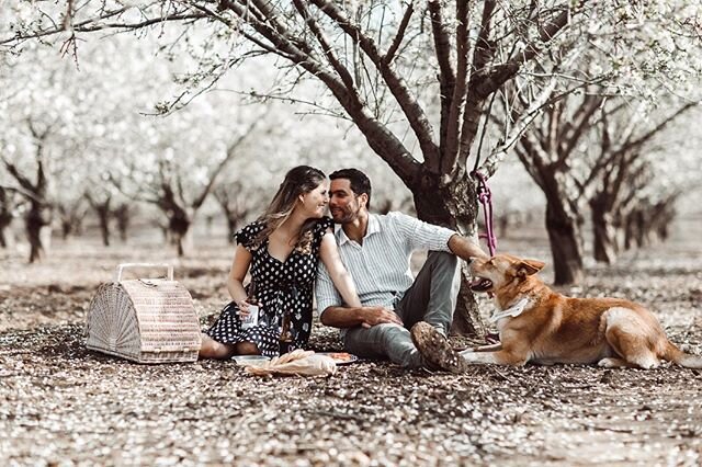My love for you is a journey, starts at forever and ending at never. #engagementsession #צילומיזוגיות #doglovers #weddingseason2020 #engagementphotos #love. 📸 by @sagihurvitz