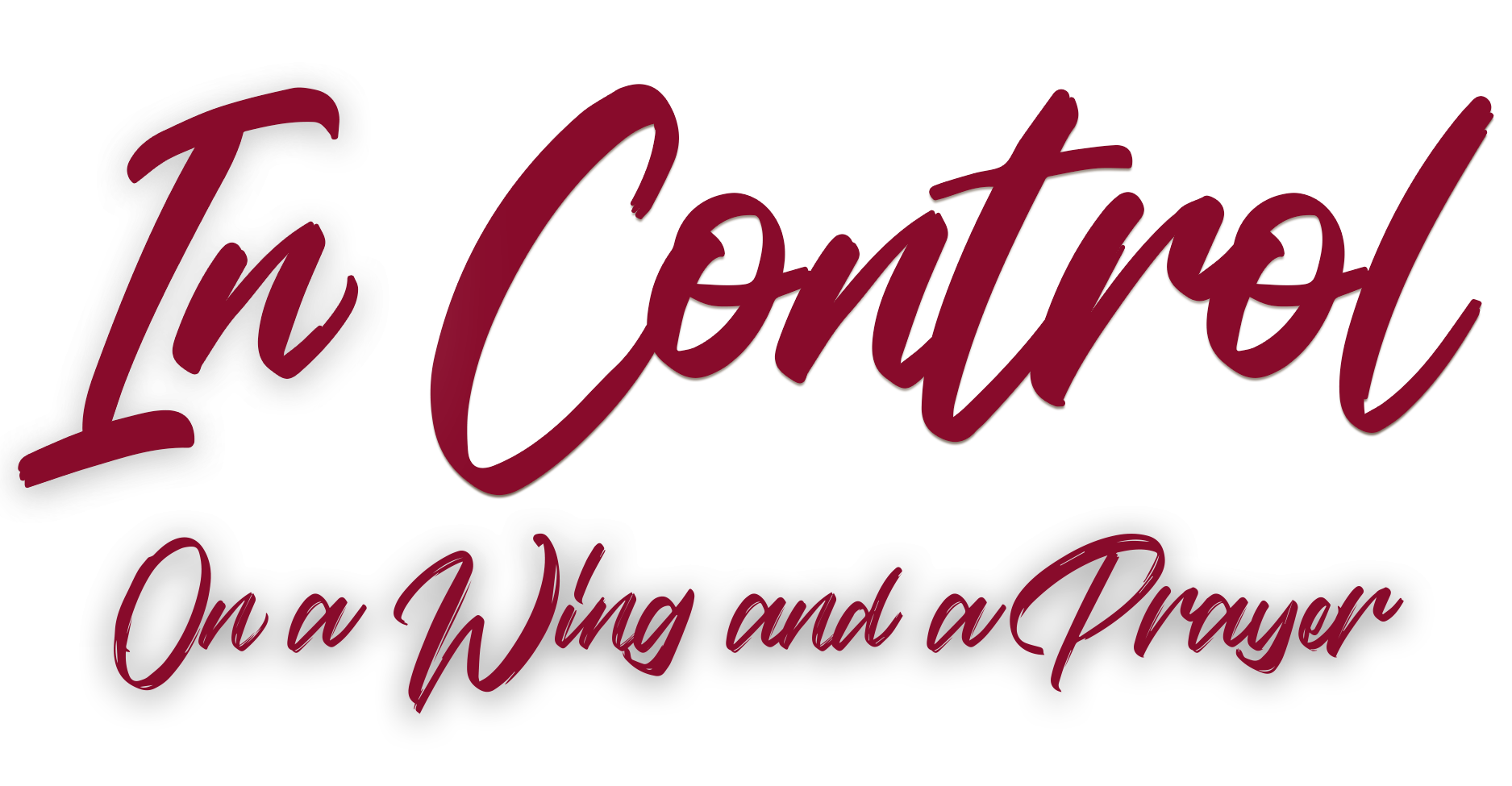 Priscilla InControl Book Cover TITLE3.png