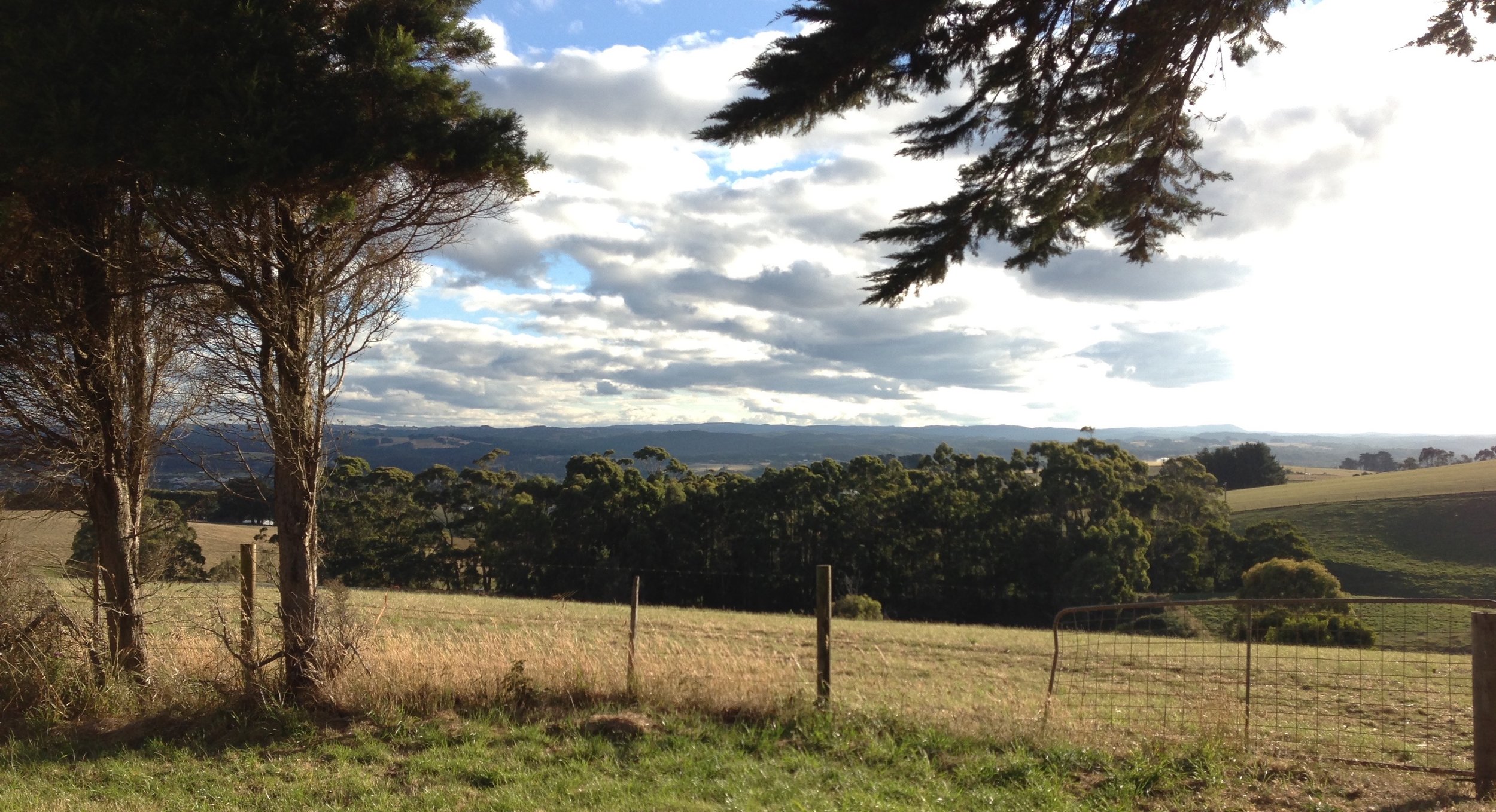 Table Cape, Tasmania, view from home of birthplace of F.M. Alexander
