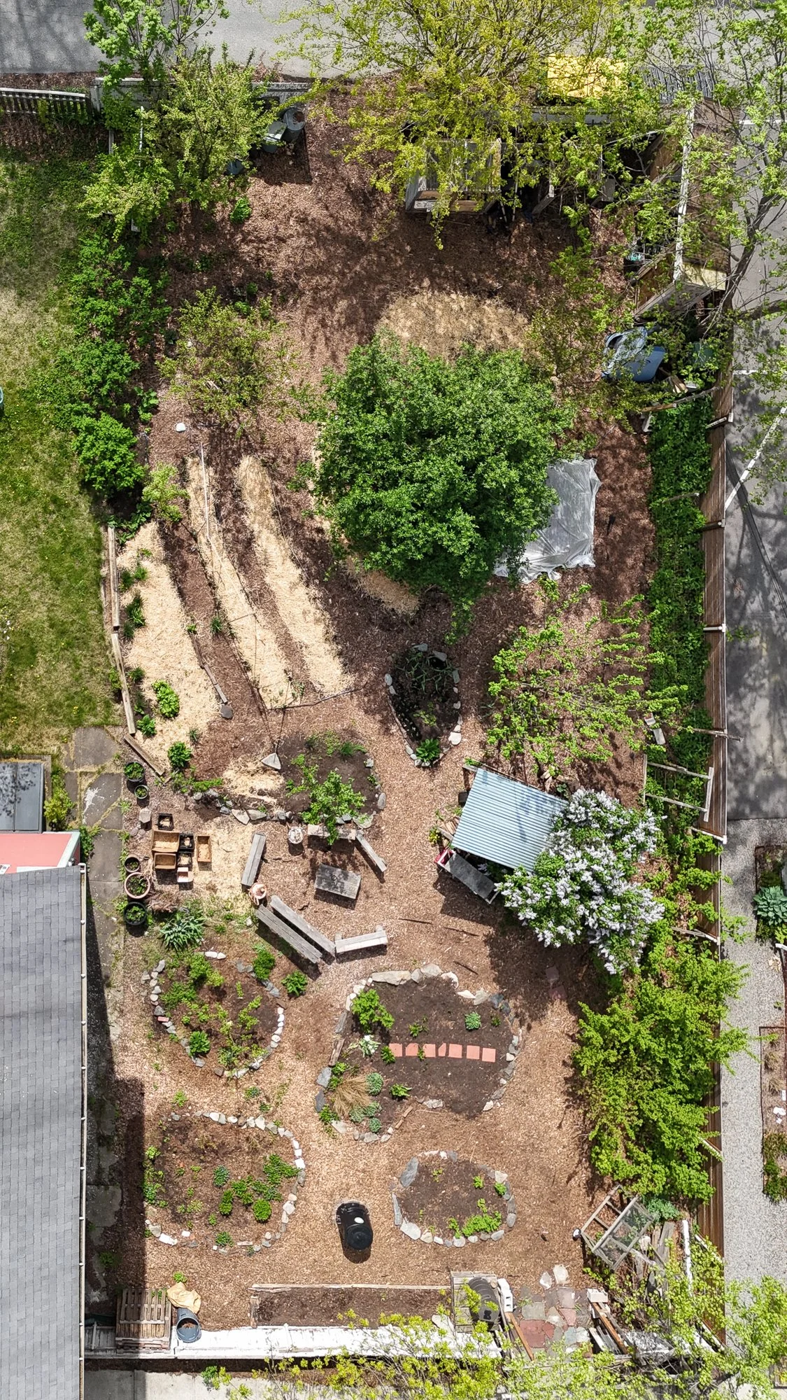 Sindayiganza Photography - drone - May 2 2025-4.jpg