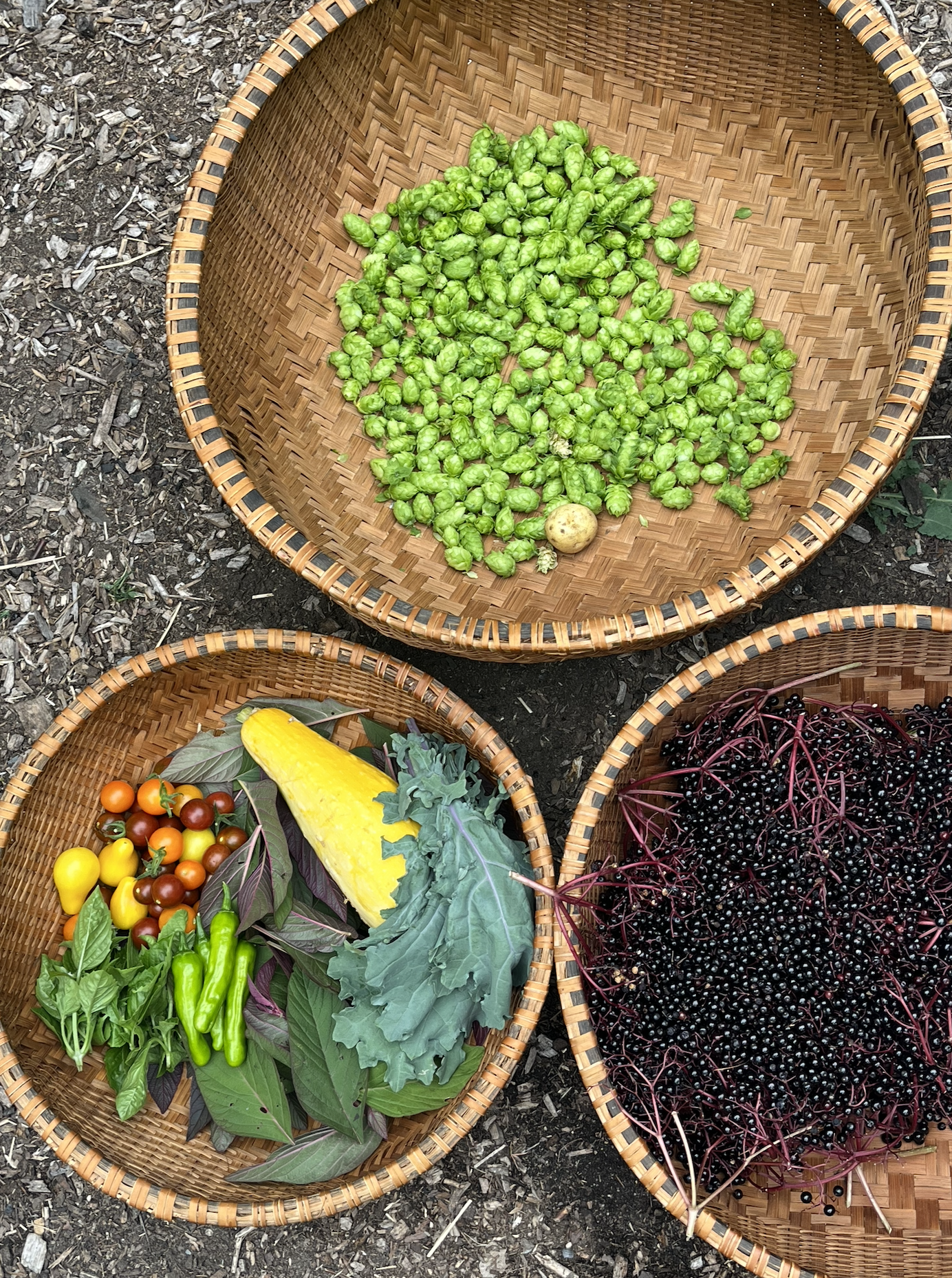 Screen Shot 2026-01-09 at 1.00.24 PM.png