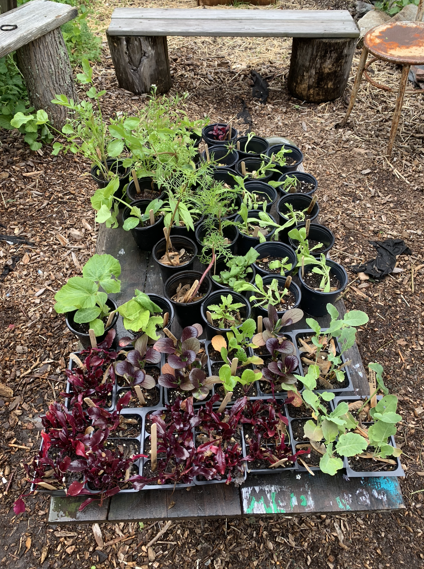 Screen Shot 2026-01-09 at 1.00.31 PM.png