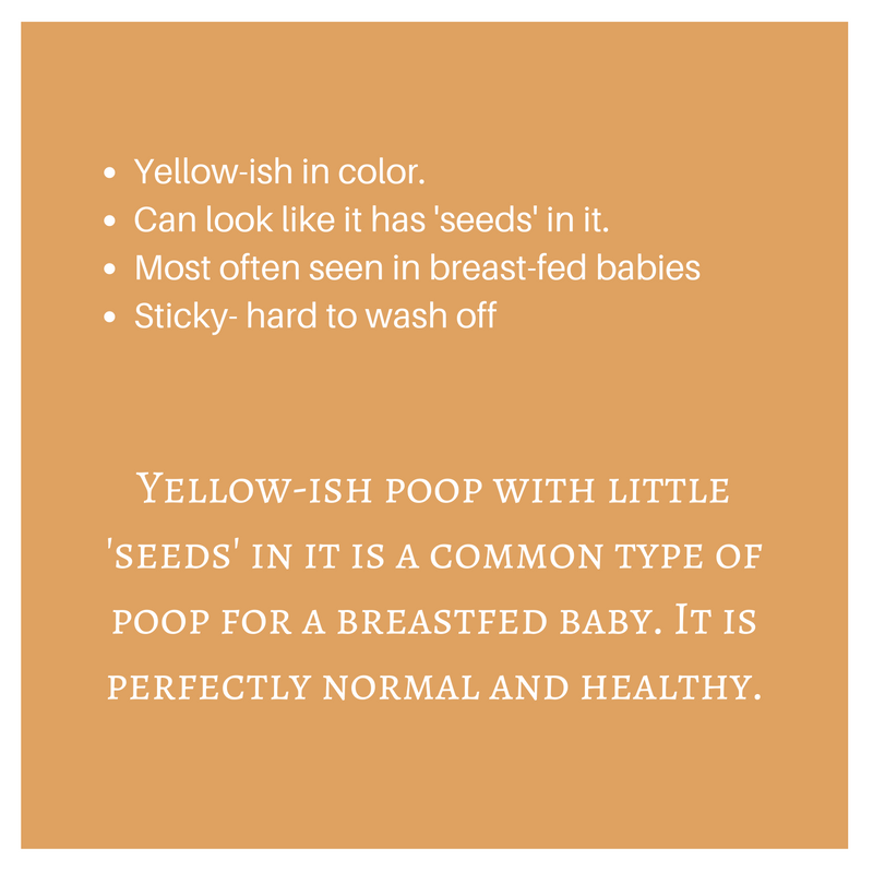 A ColorCoded Guide to Baby Poop — PNW Doulas
