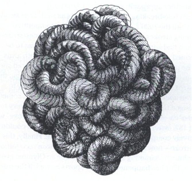 My Gordian Knot