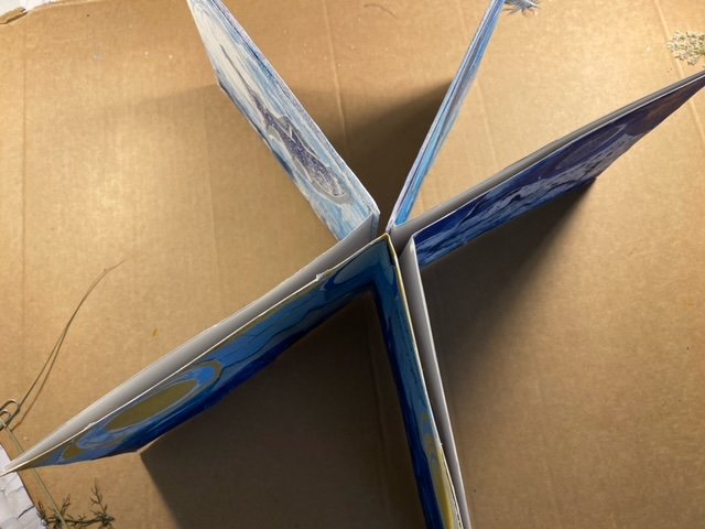 image4.jpeg