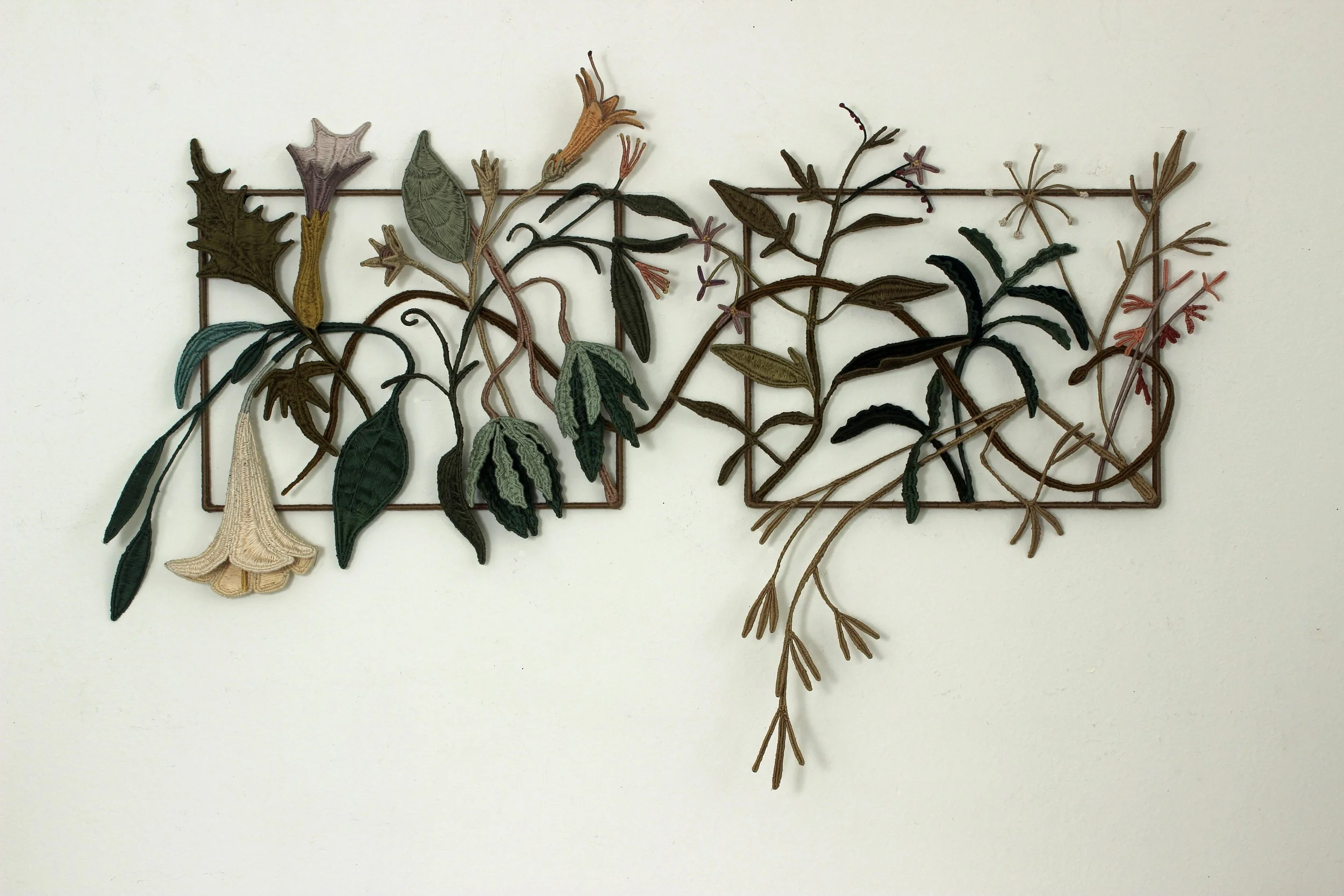 Carol Eckert