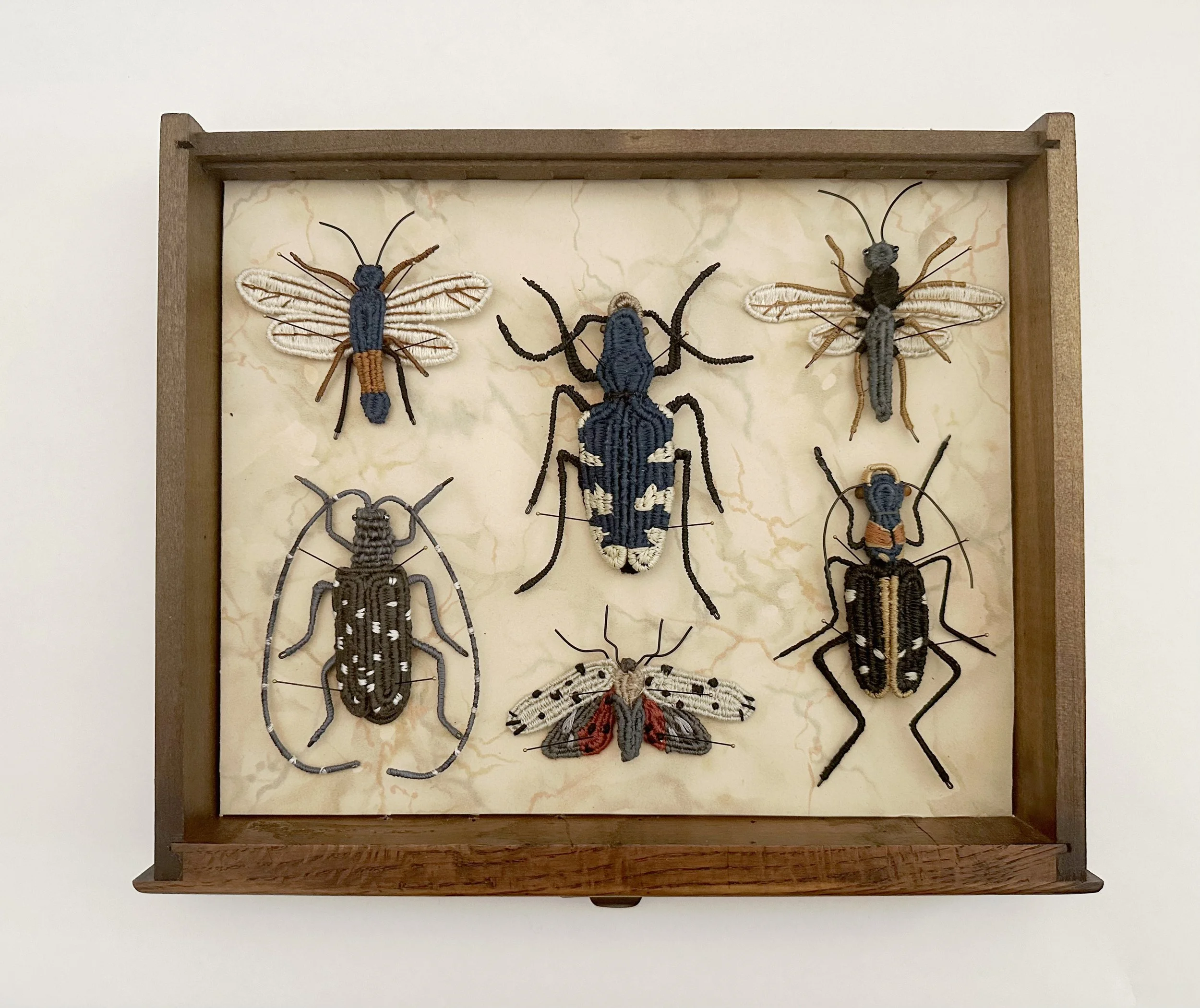 Carol Eckert