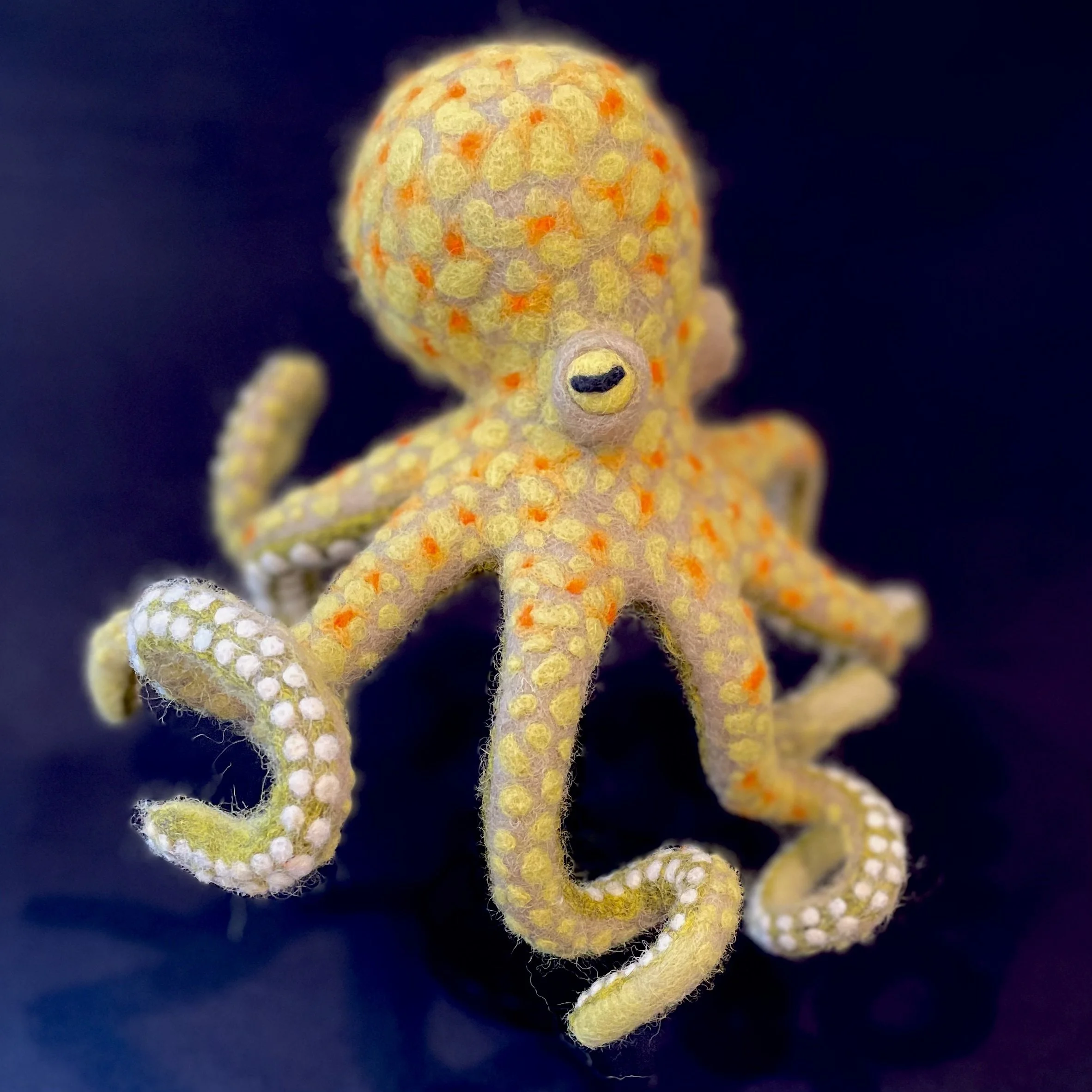 Lauren Loran, "Tentacle Party"