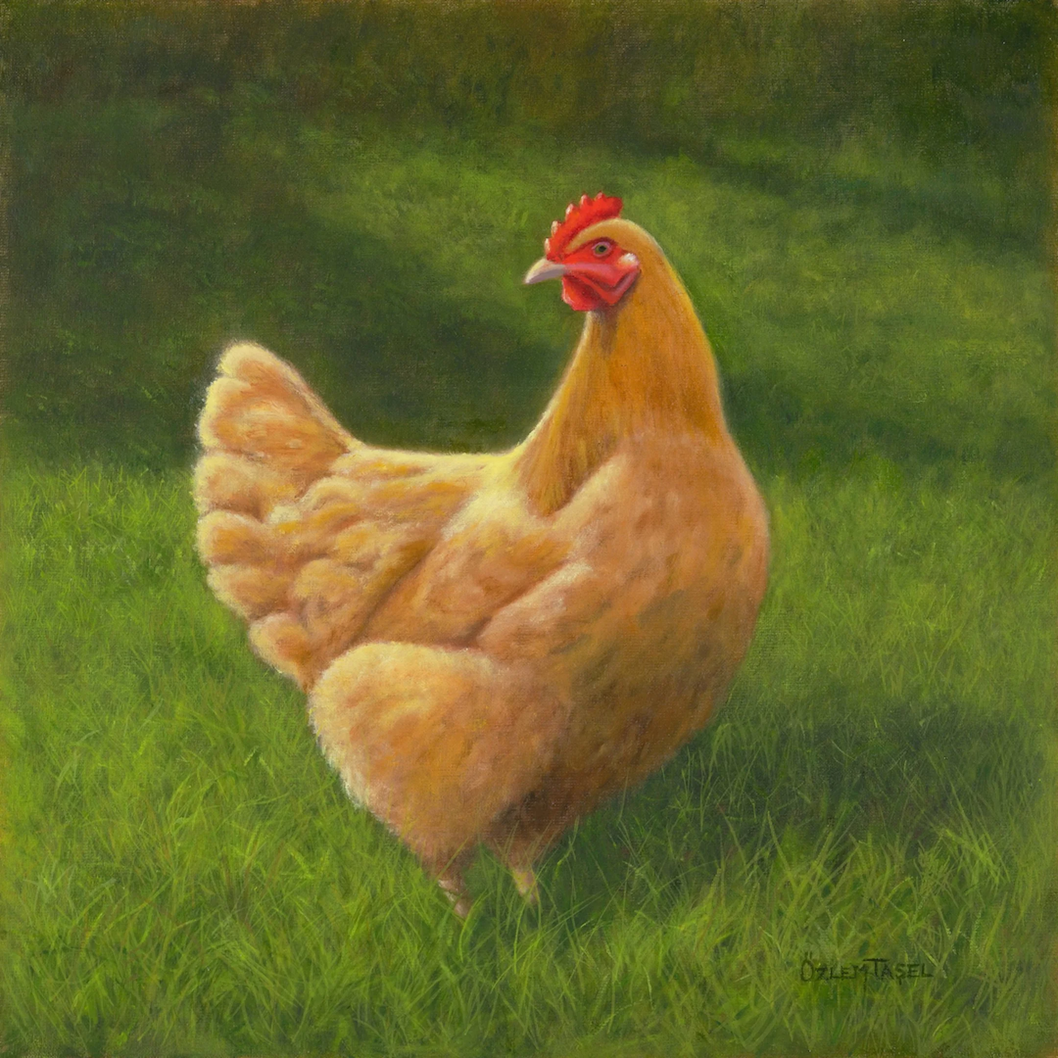 Ozlem Tasel, "Golden Hen"