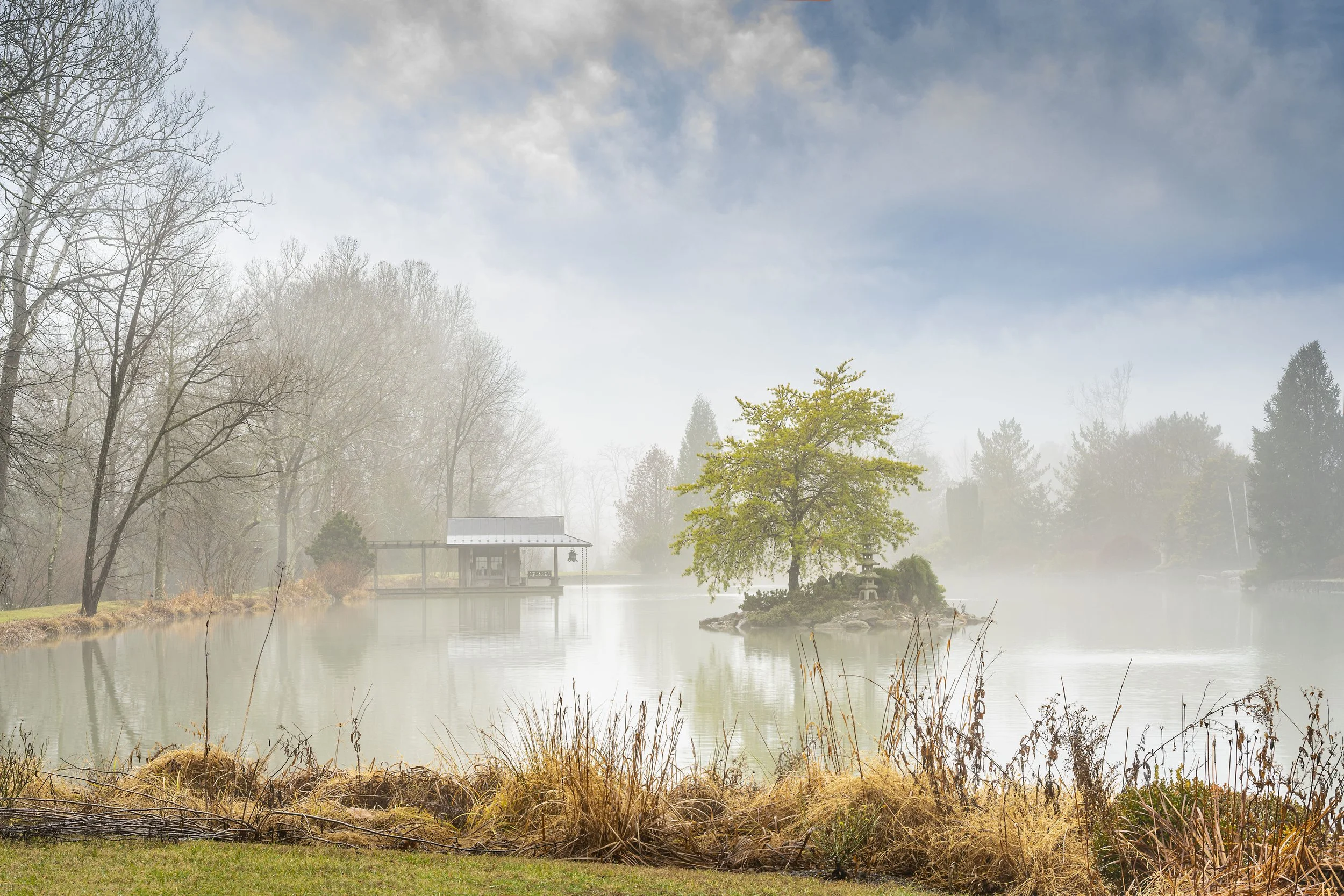 Norm Barker Photography - Tashiding Gardens