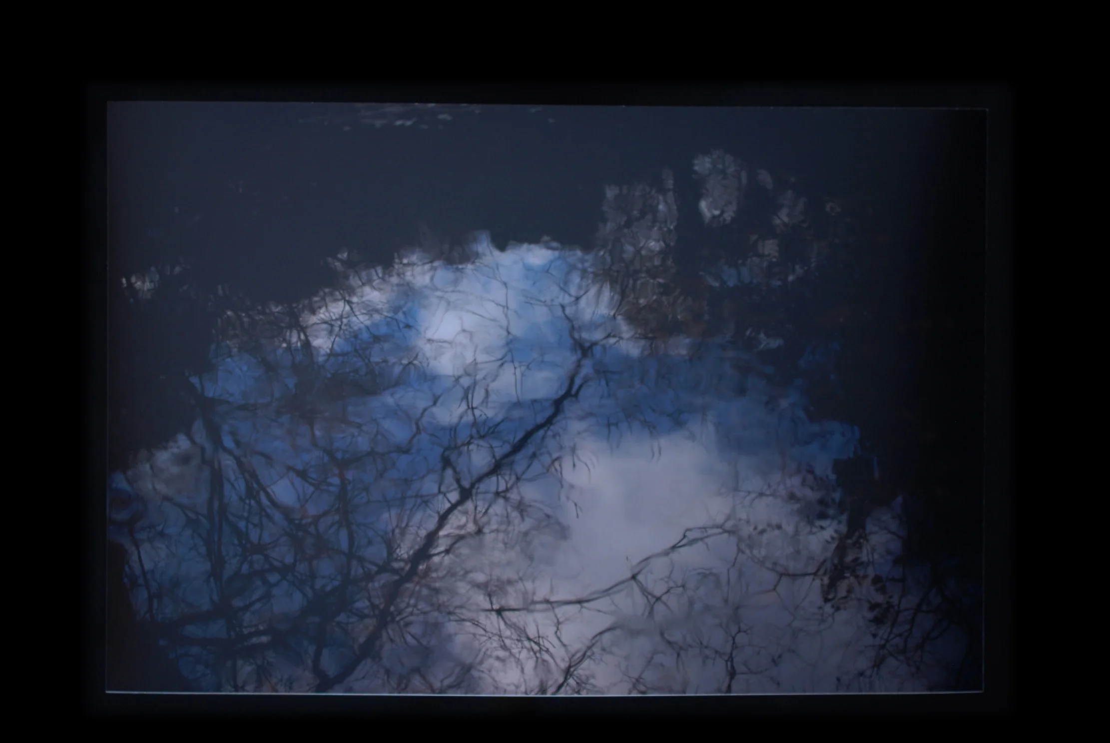 HIGHBURY DECEMBER (Moseley)