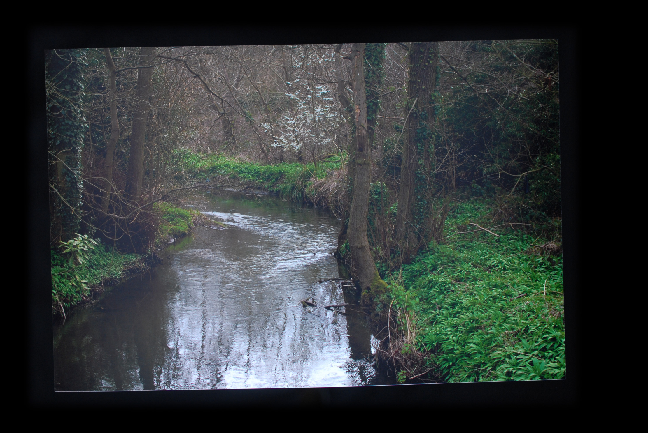 THE STREAM BY THE MILL (Sarehole)