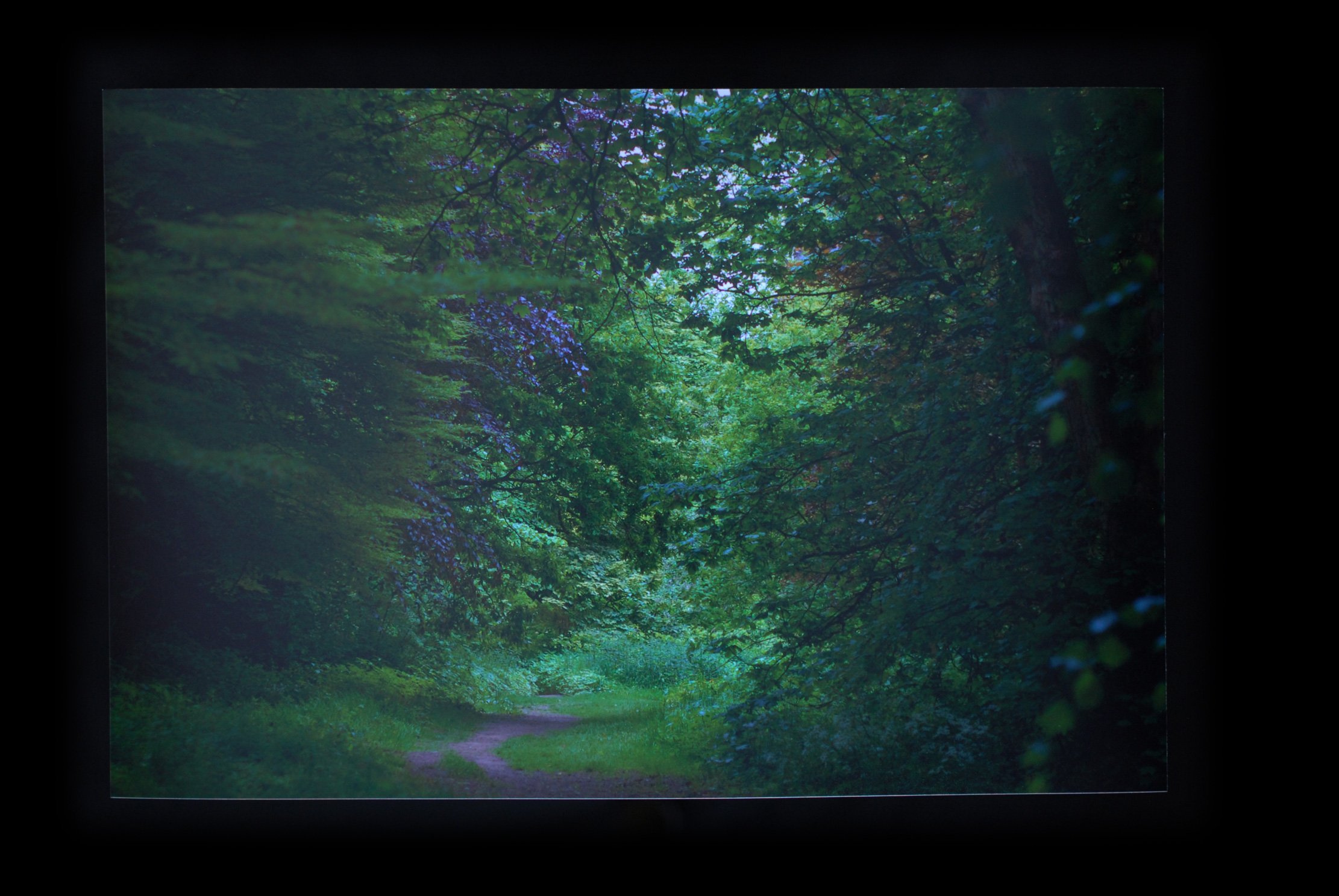 HIGHBURY PORTAL (Moseley)