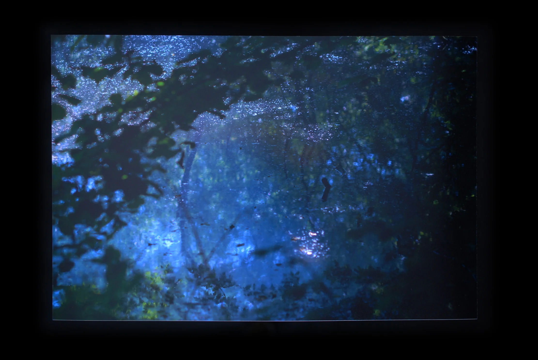 LAYERS OF BORTHWOOD COPSE (Borthwood)