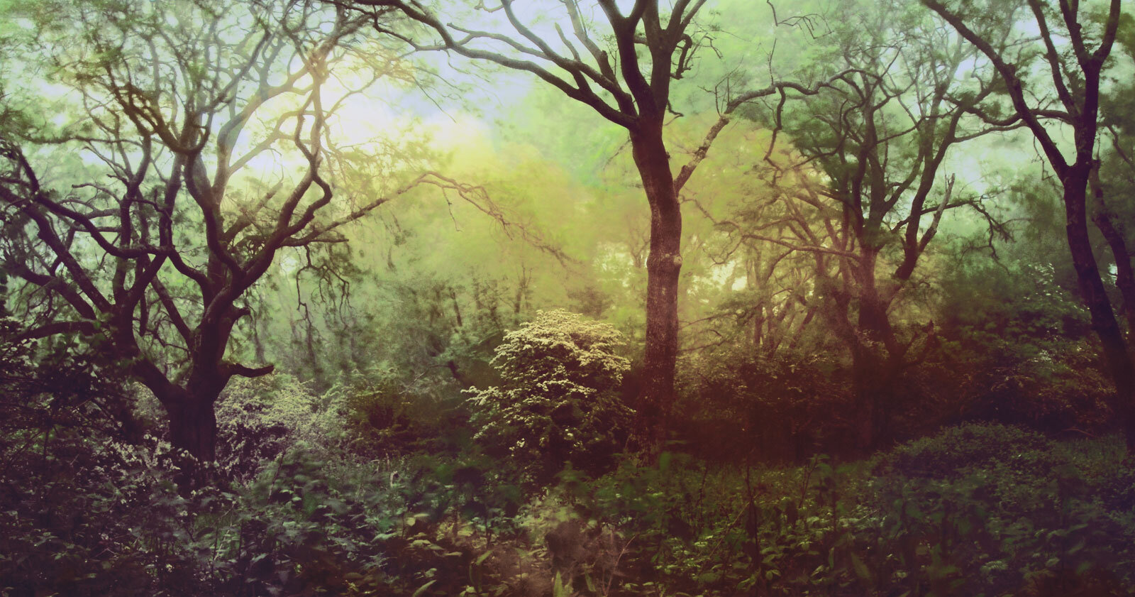 NEWWORK-3.jpg