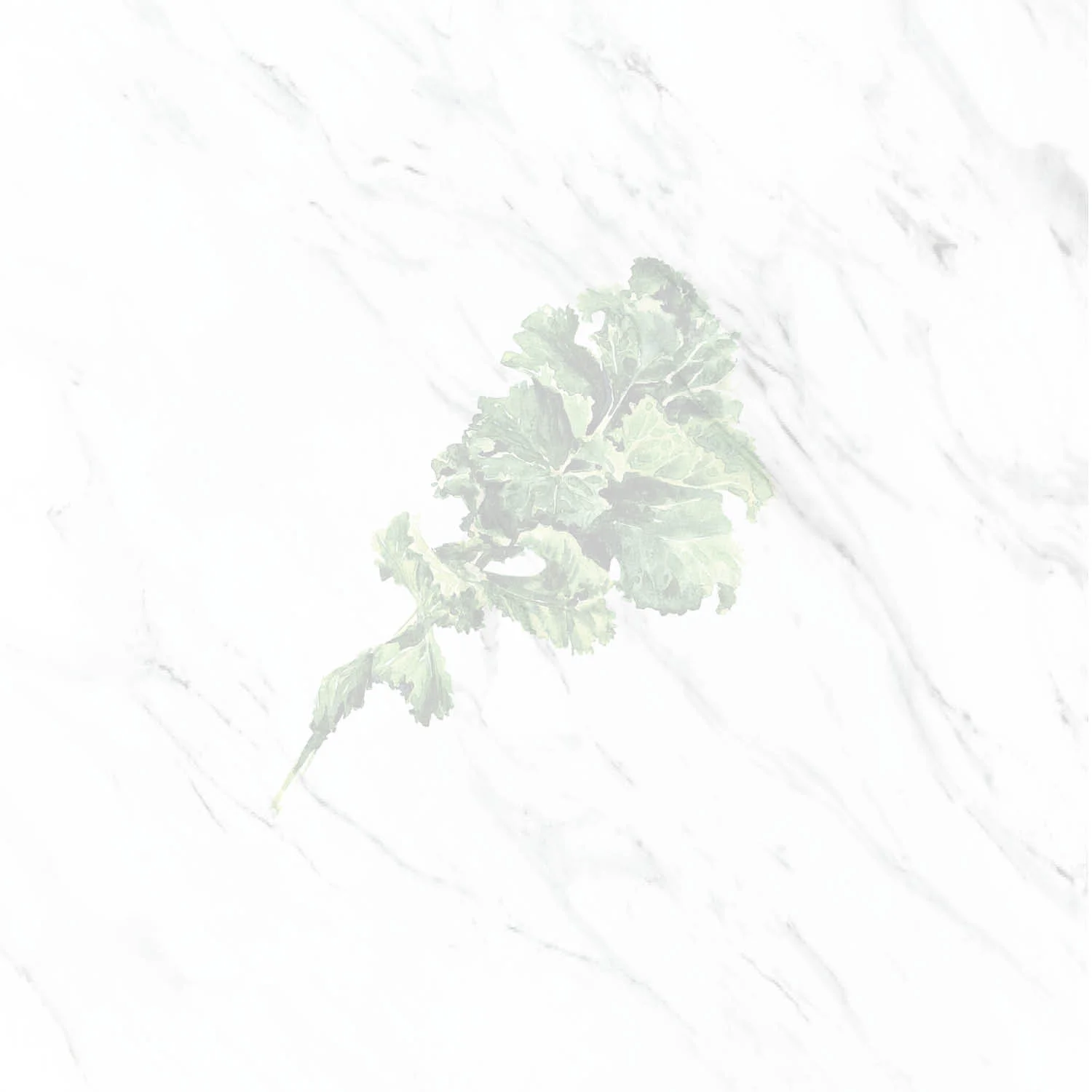Untitled-3.jpg