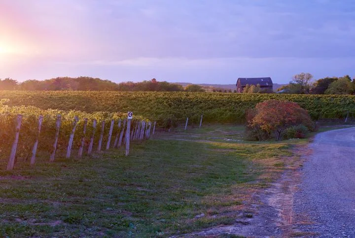 Malivoire Wine Company Explore an exclusive ‘insider’ journey to Malivoire’s unique Innovative and eco-centric approach to wine making. Learn about their signature gravity flow production and enjoy their best wines including their award wining Gamay!