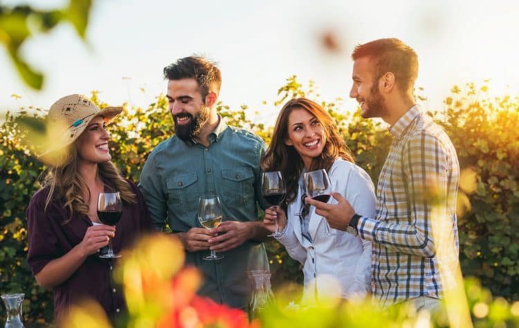 Chilean Wines: A Journey Through Terroir and Tradition