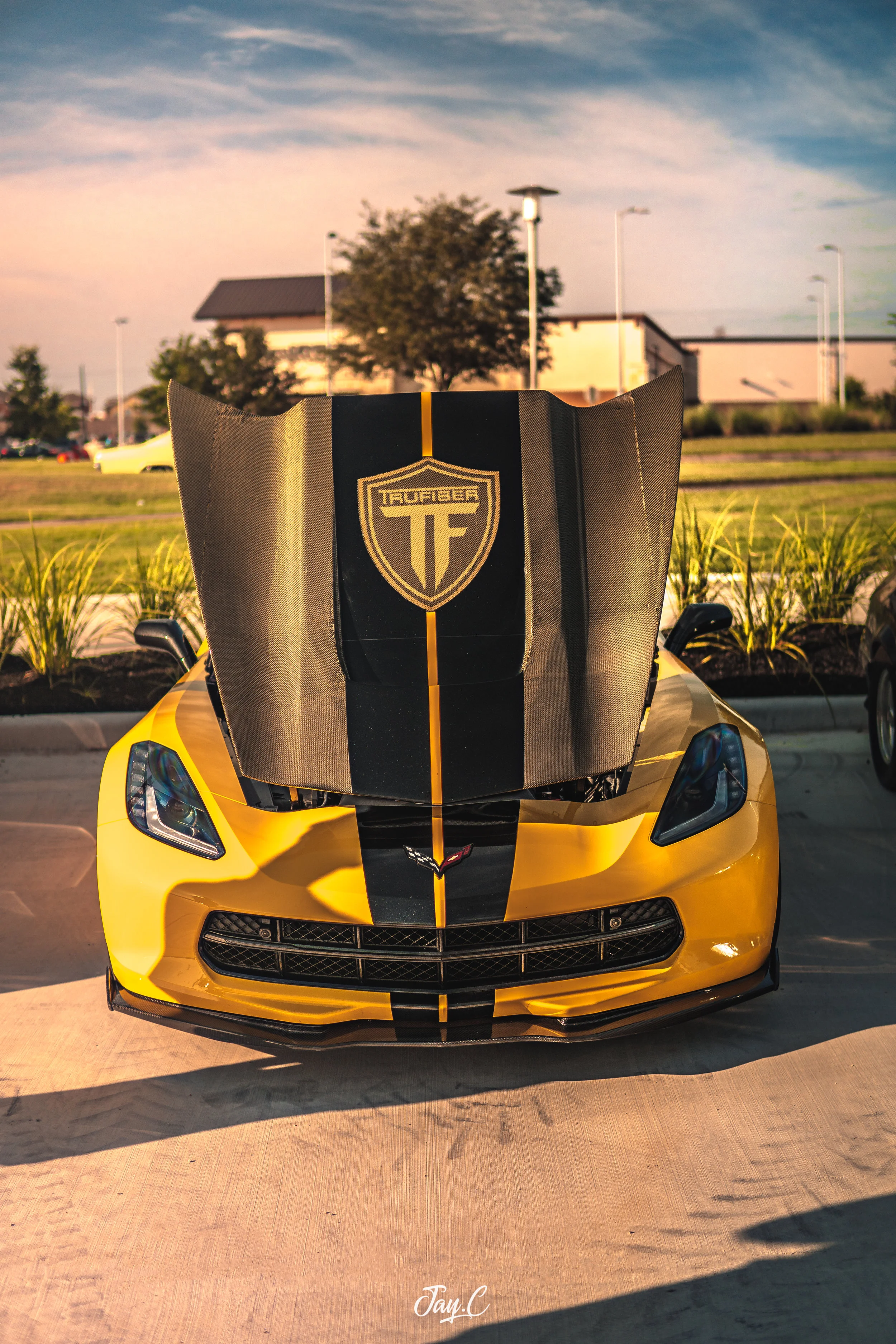 t65 (1 of 1).jpg