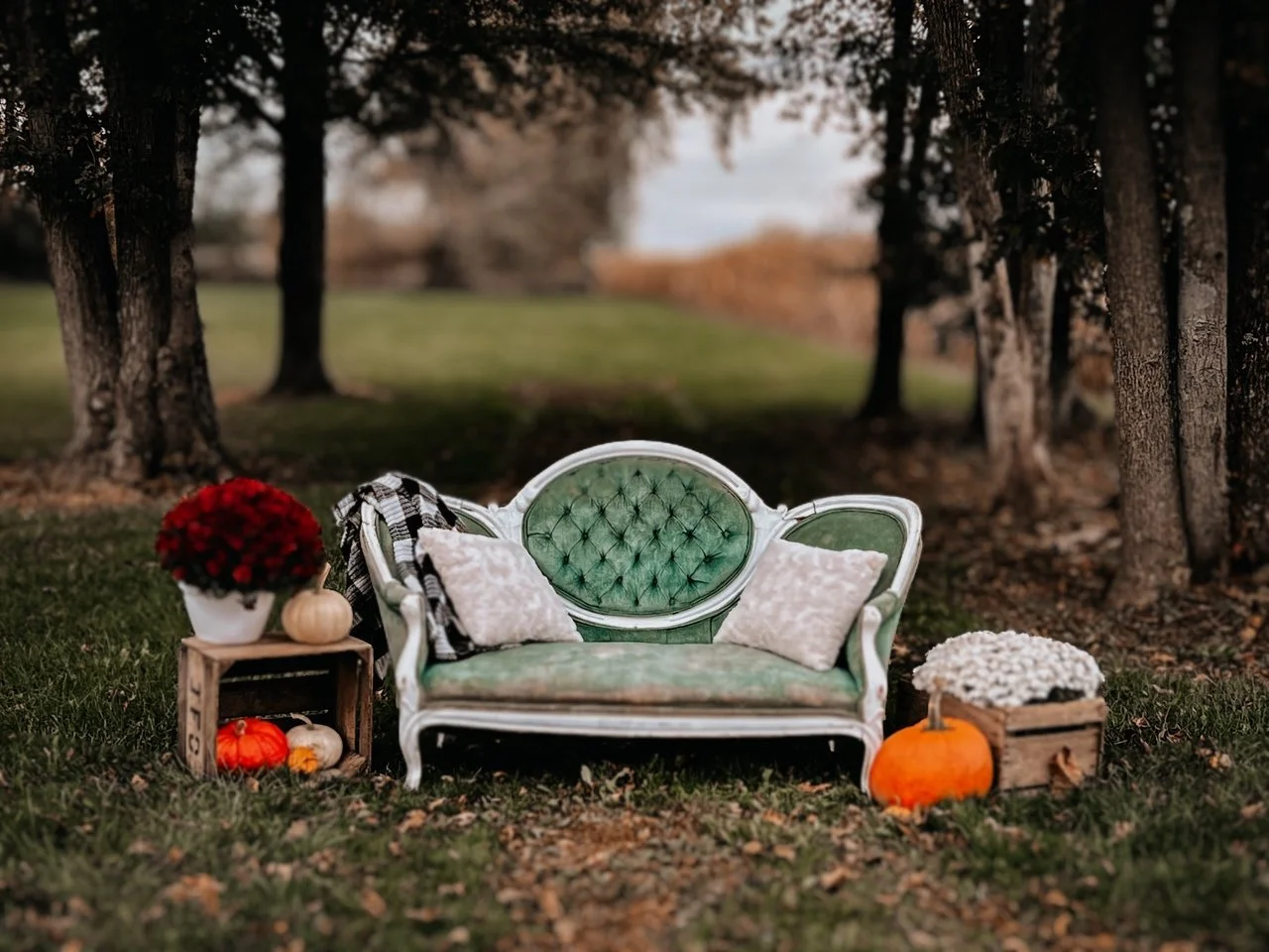 Heather + Jordan - Fall Mini