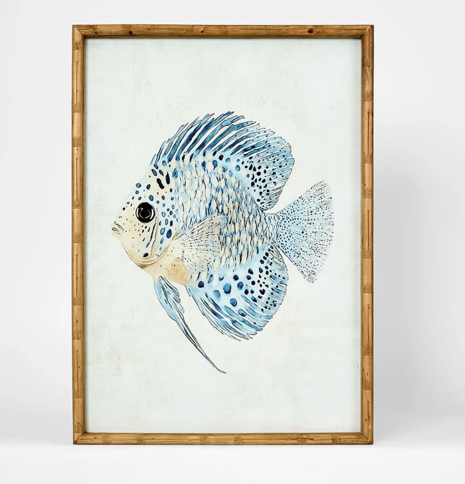 Screenshot 2026-02-17 at 11.12.26 am.png