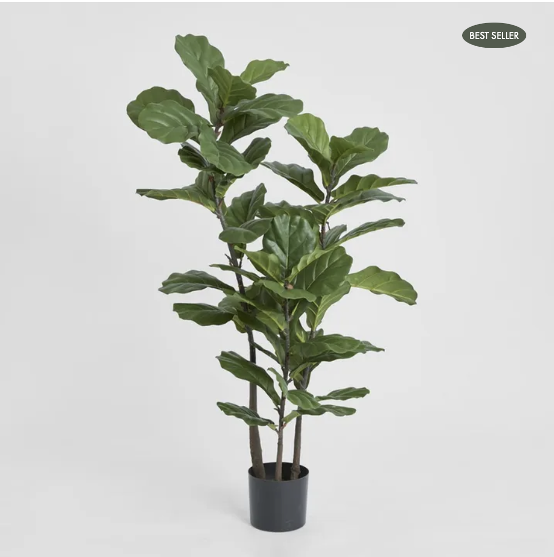 Screenshot 2026-03-21 at 2.50.32 pm.png