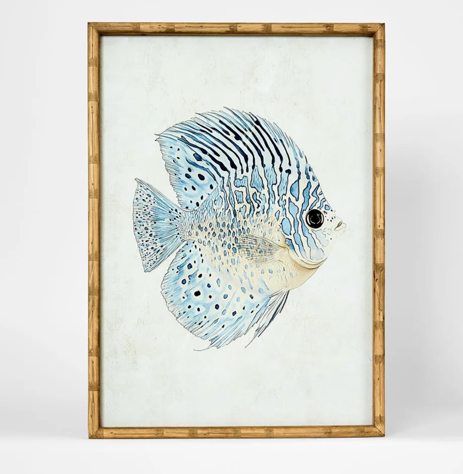 Screenshot 2026-02-17 at 11.13.22 am.png