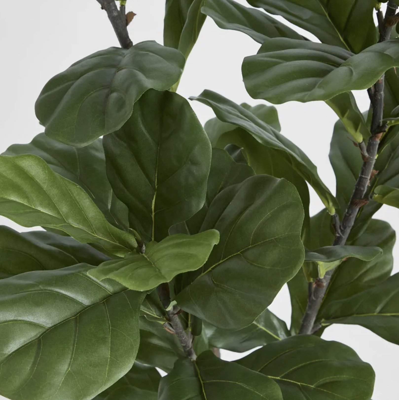 Screenshot 2026-03-21 at 2.50.39 pm.png