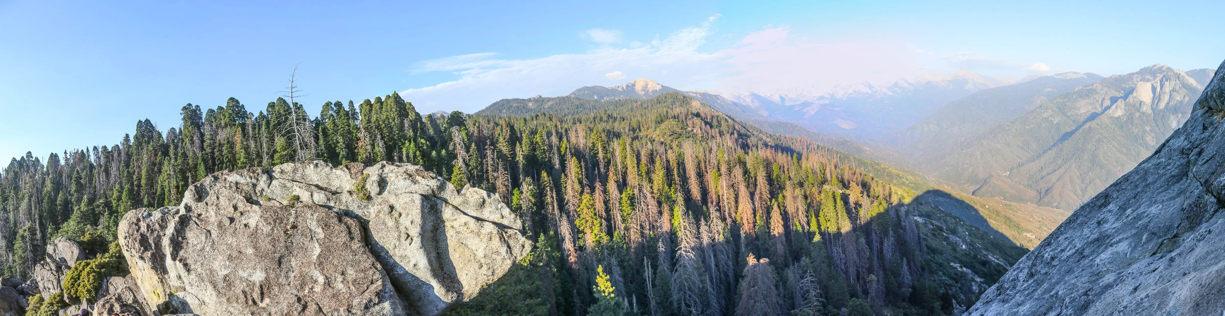 IMG_0078-Pano.jpg