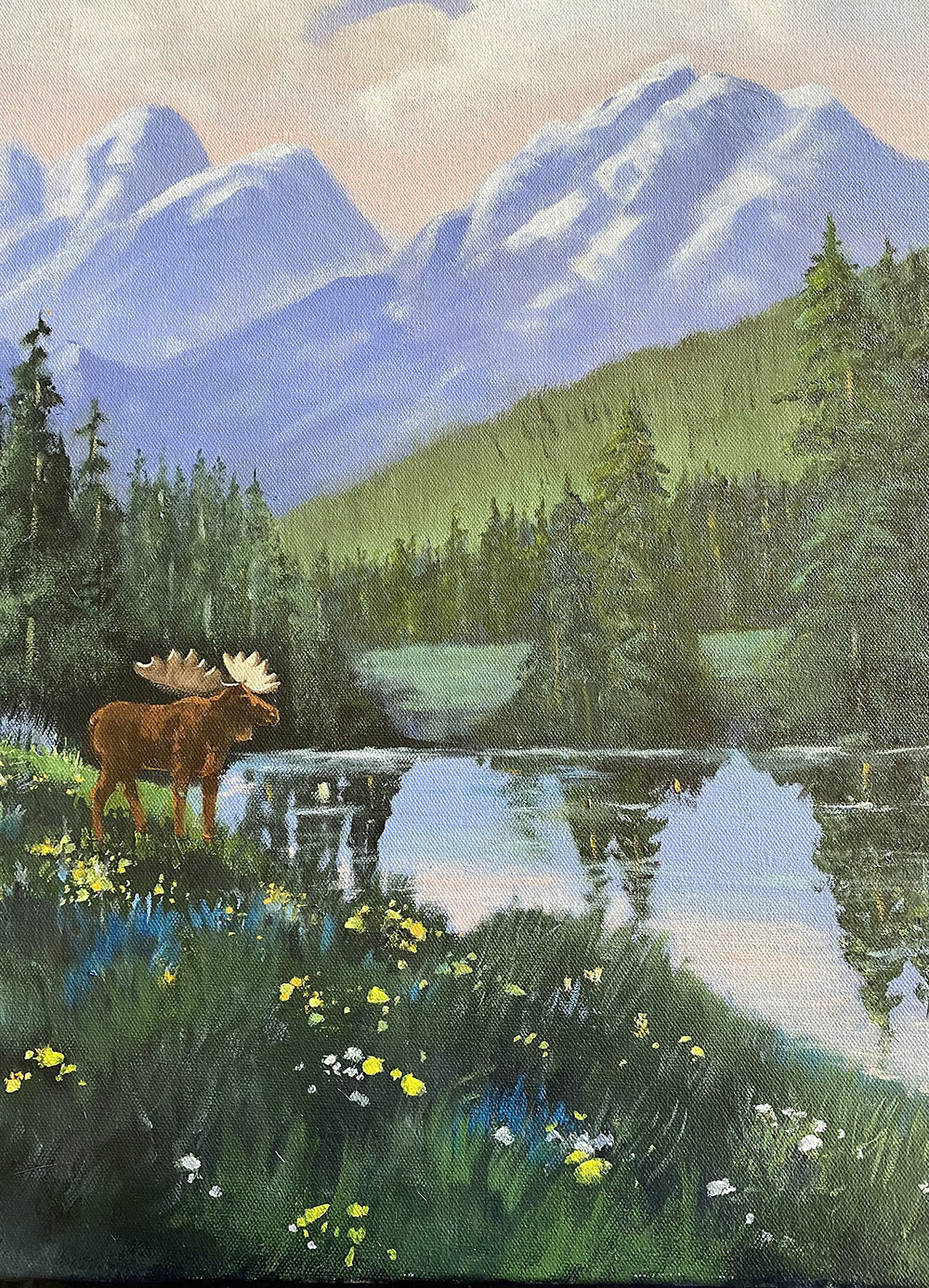 Alaska Moose