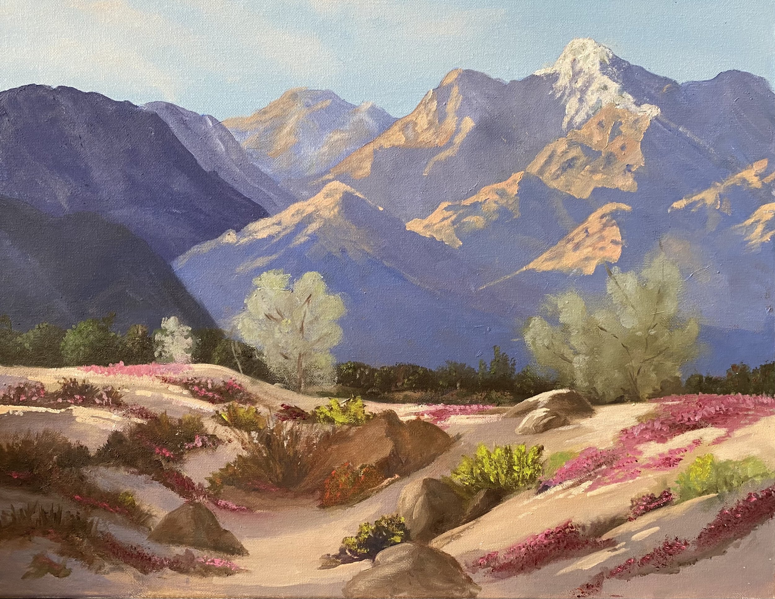 Winter in Palm Springs 20x16