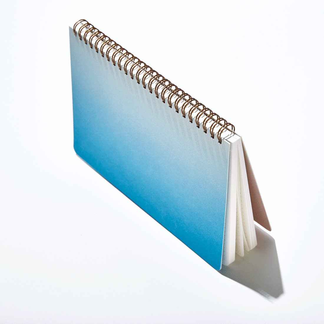 ProductPage_Side_Fade_1_1100x.png