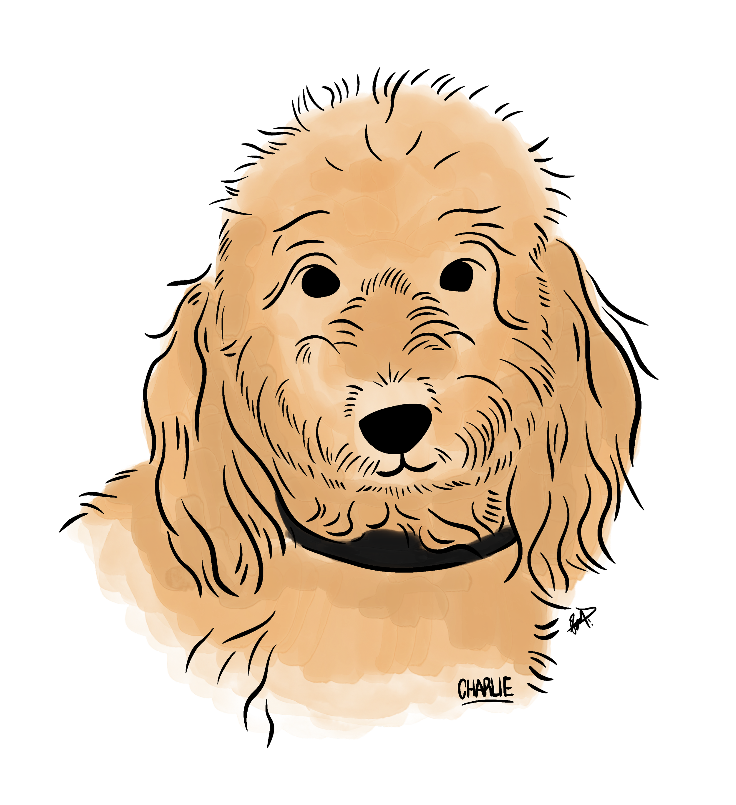 Untitled_Artwork (13).png