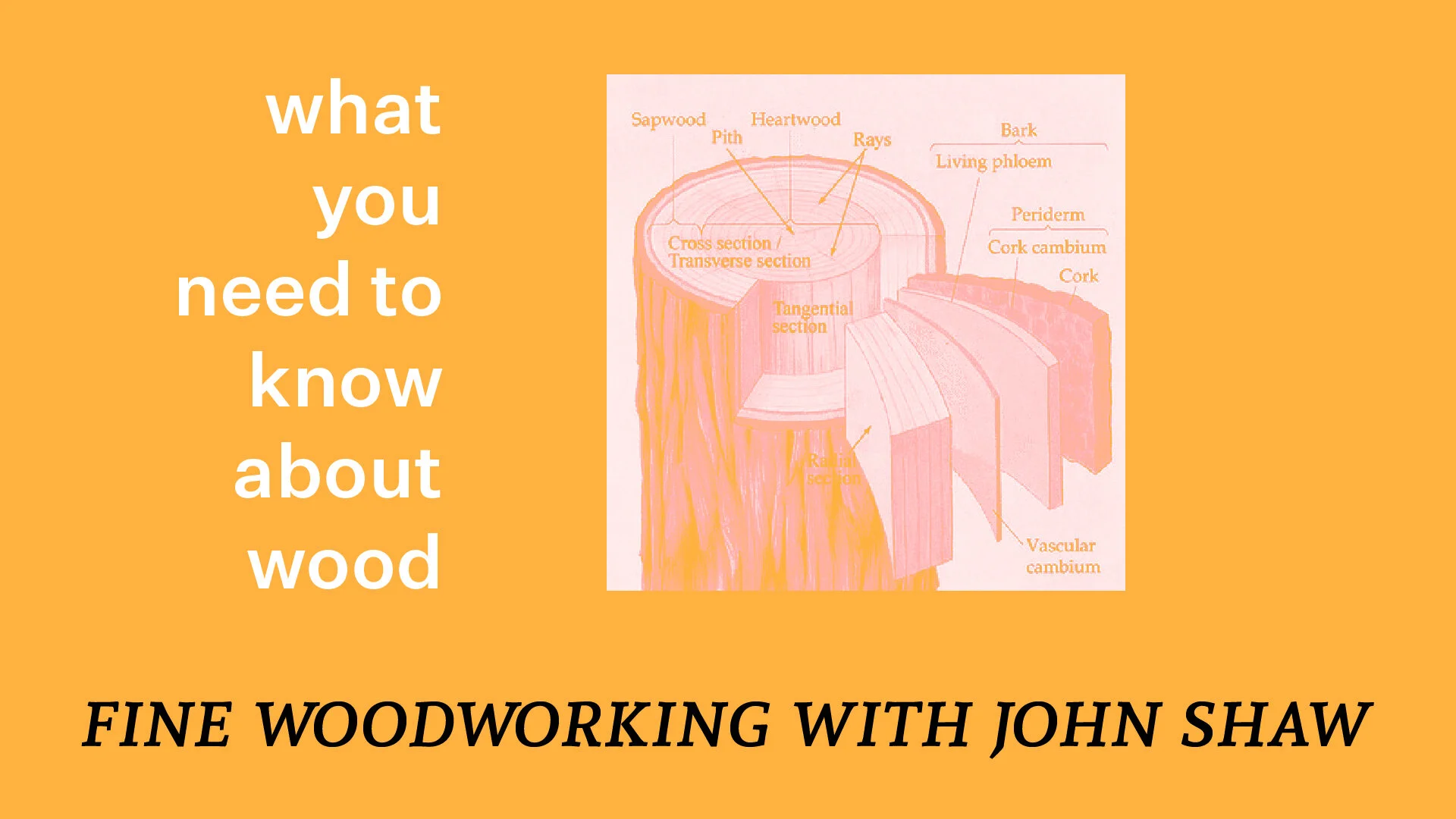 What you need to know about wood