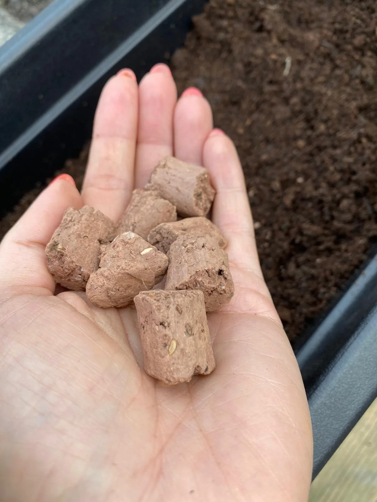 When’s the Best Time to Scatter Beebombs in Ireland?