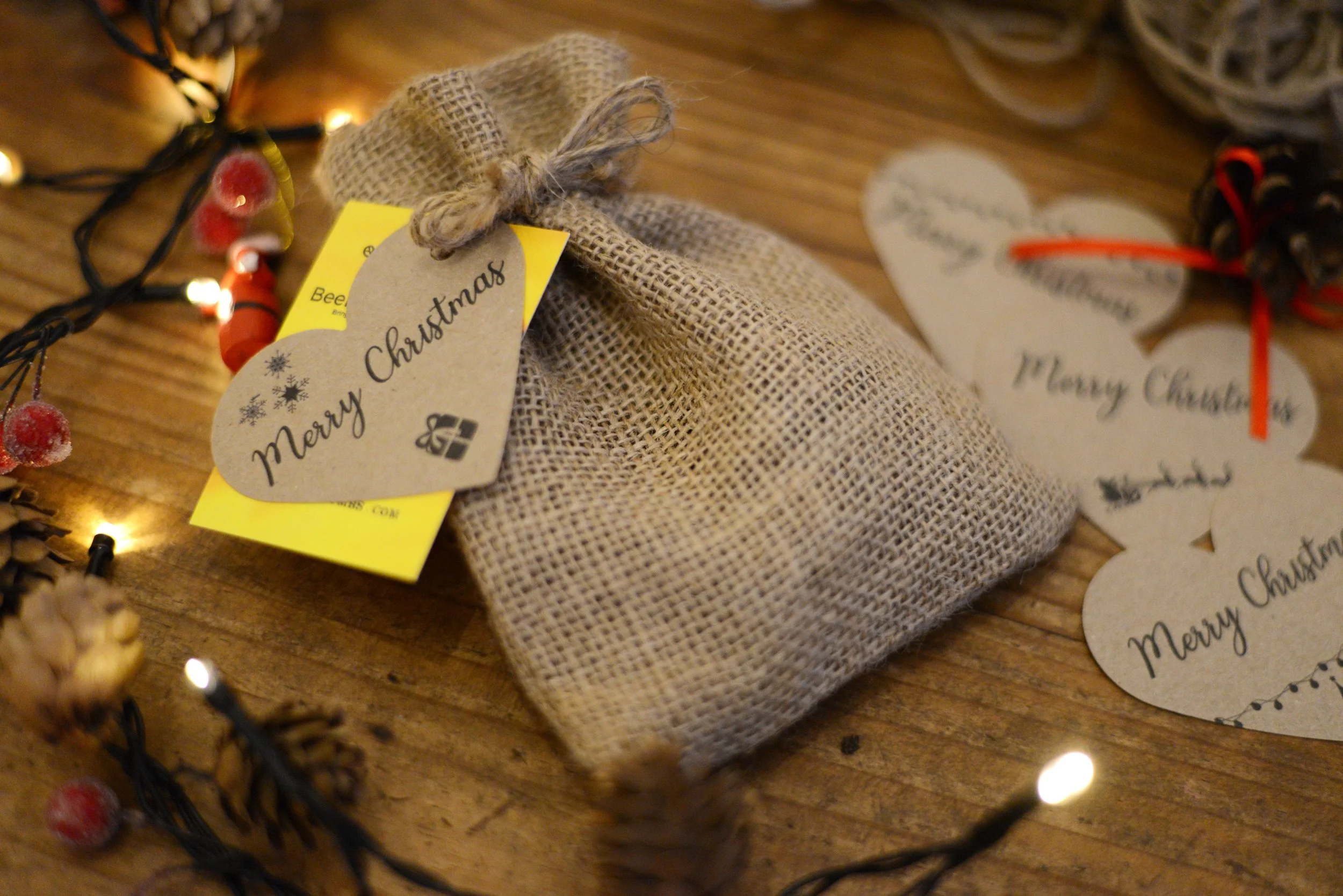 Got Beebombs for Christmas? Here’s exactly what to do next (and when)