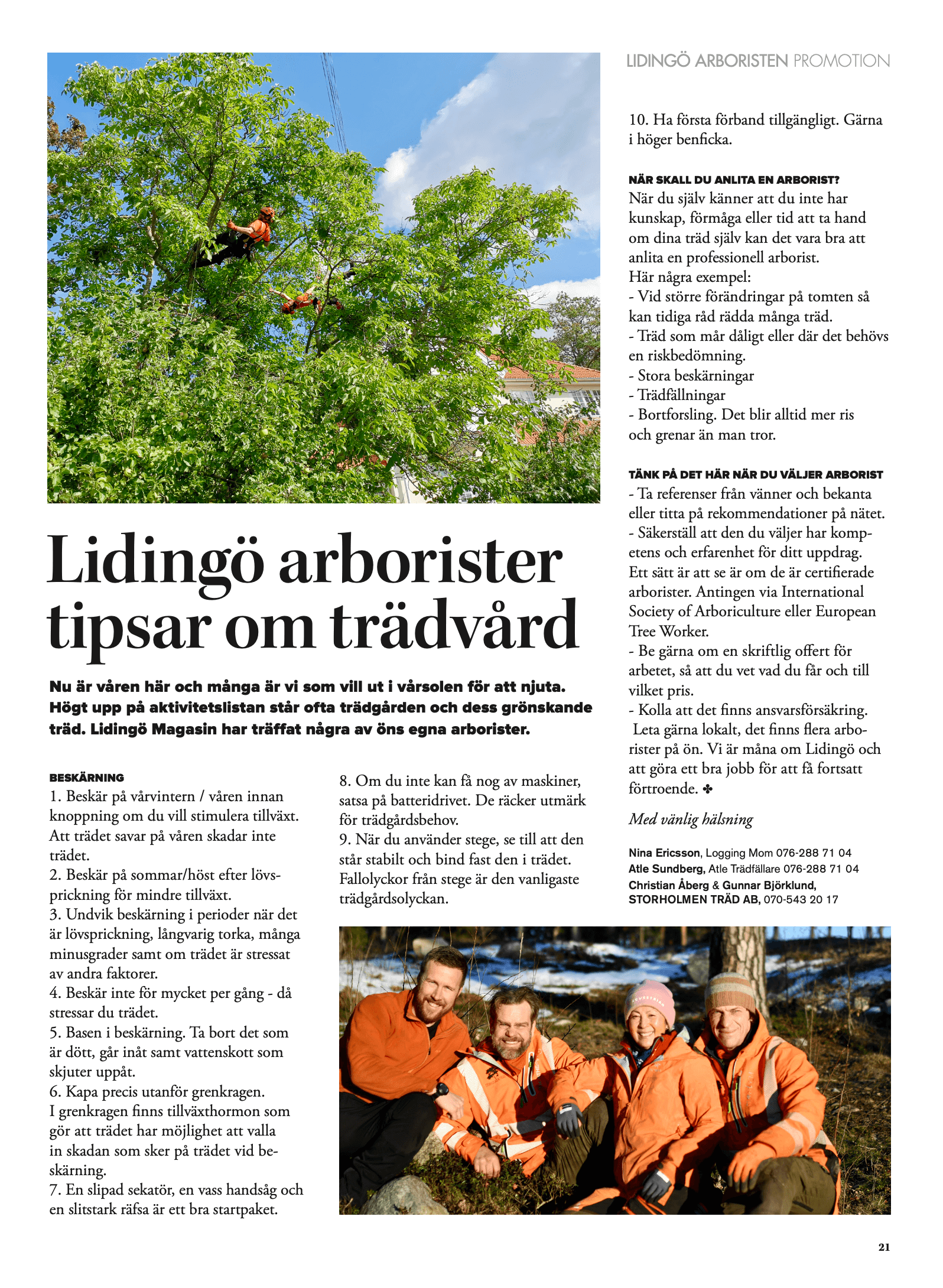 lidingö arboristen reportage.png