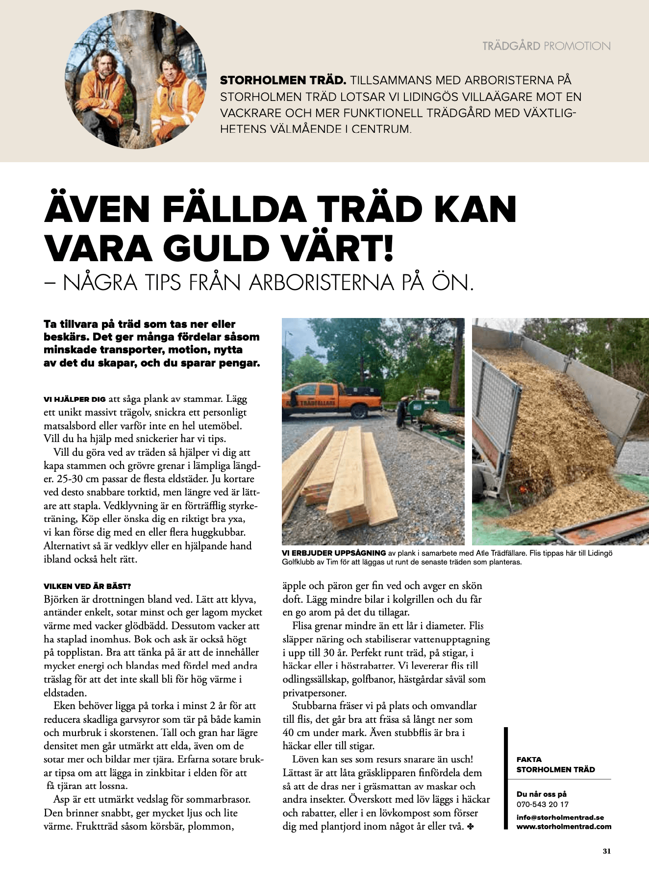 trädfällare stockholm i media.png