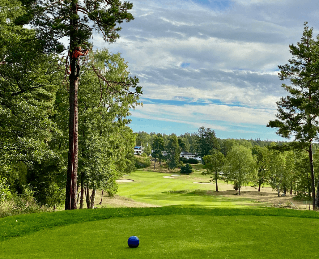 tall lidingö kronhöjning