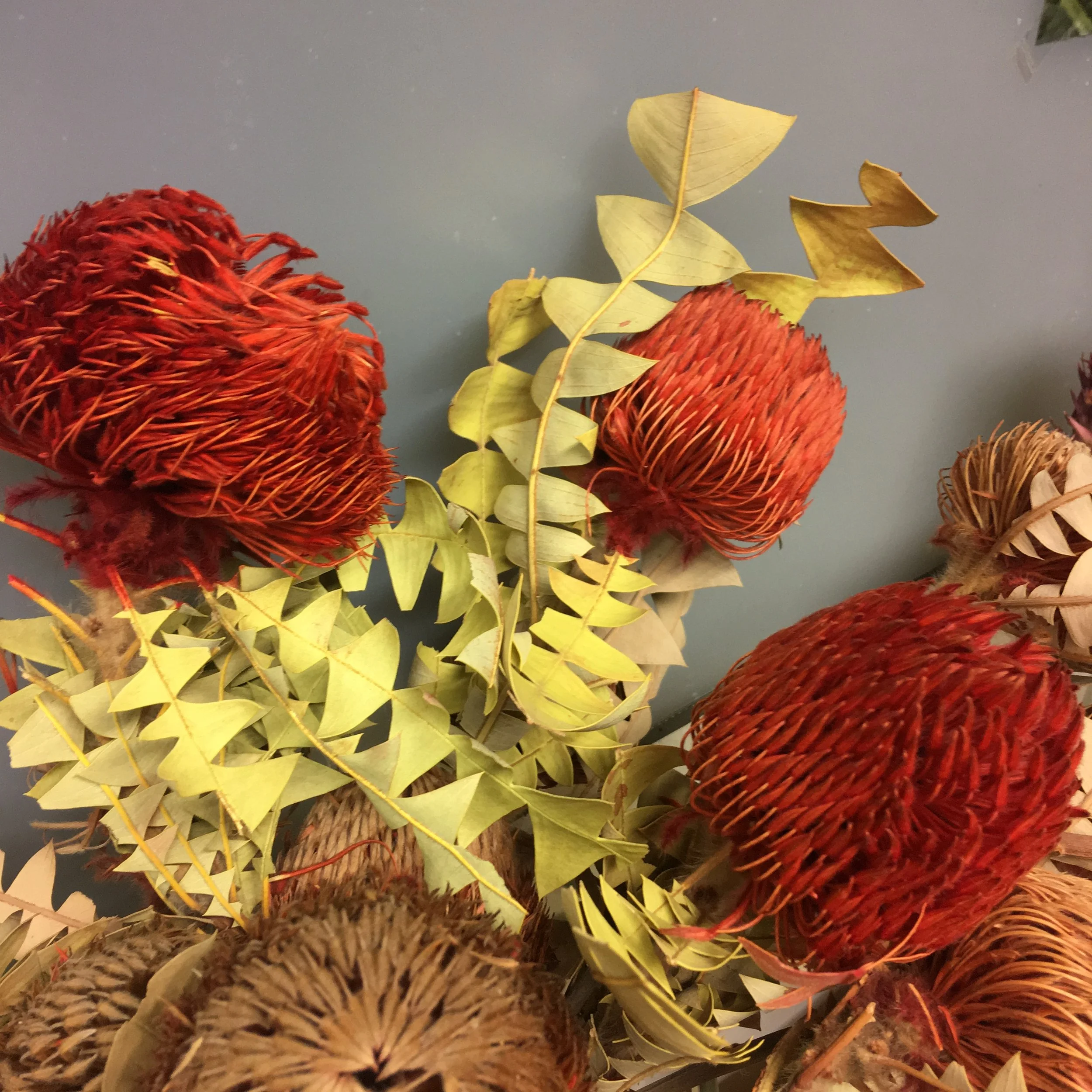 ONLINE: Restorative Yoga Special 