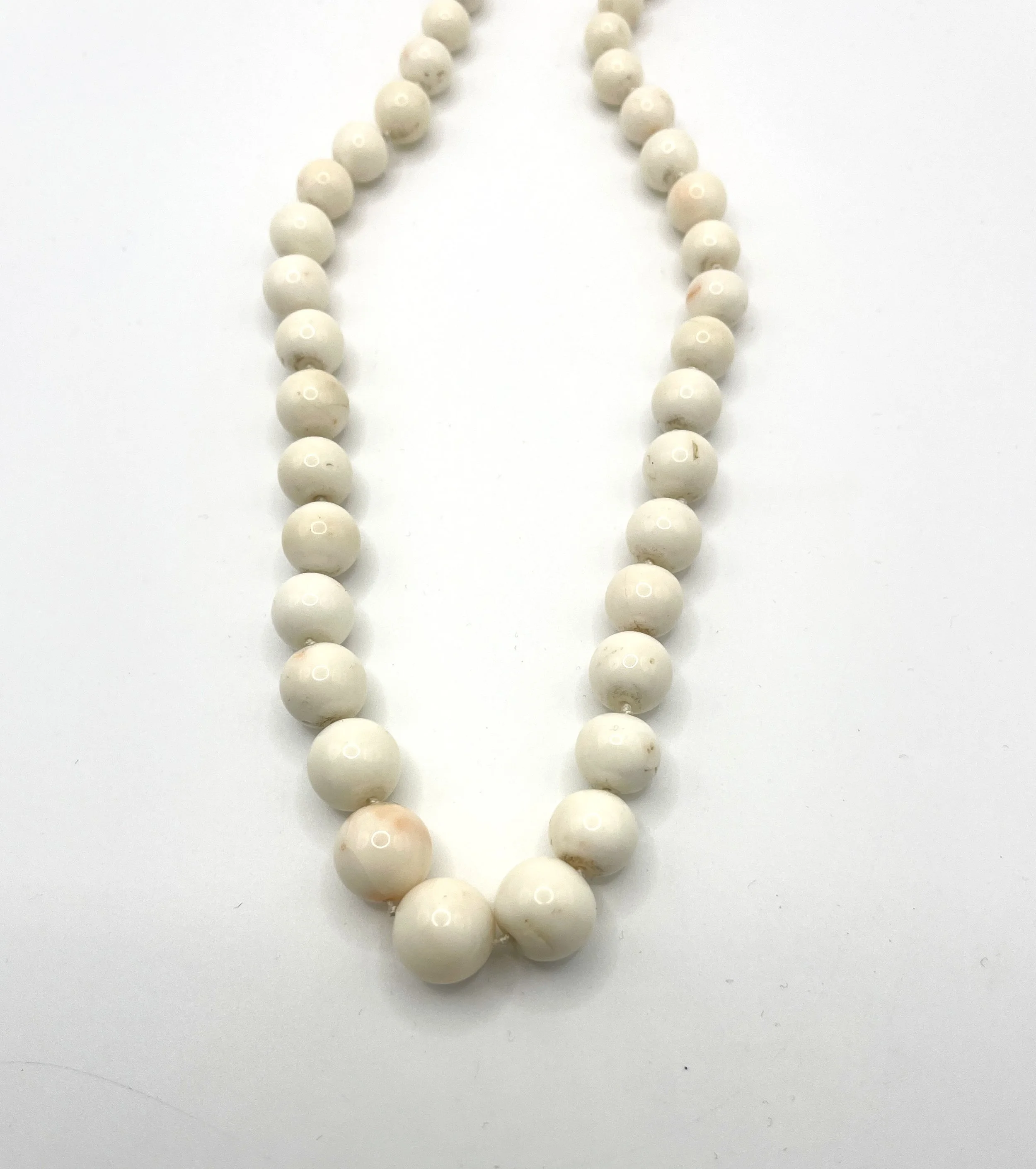 IMG_5089.jpeg
