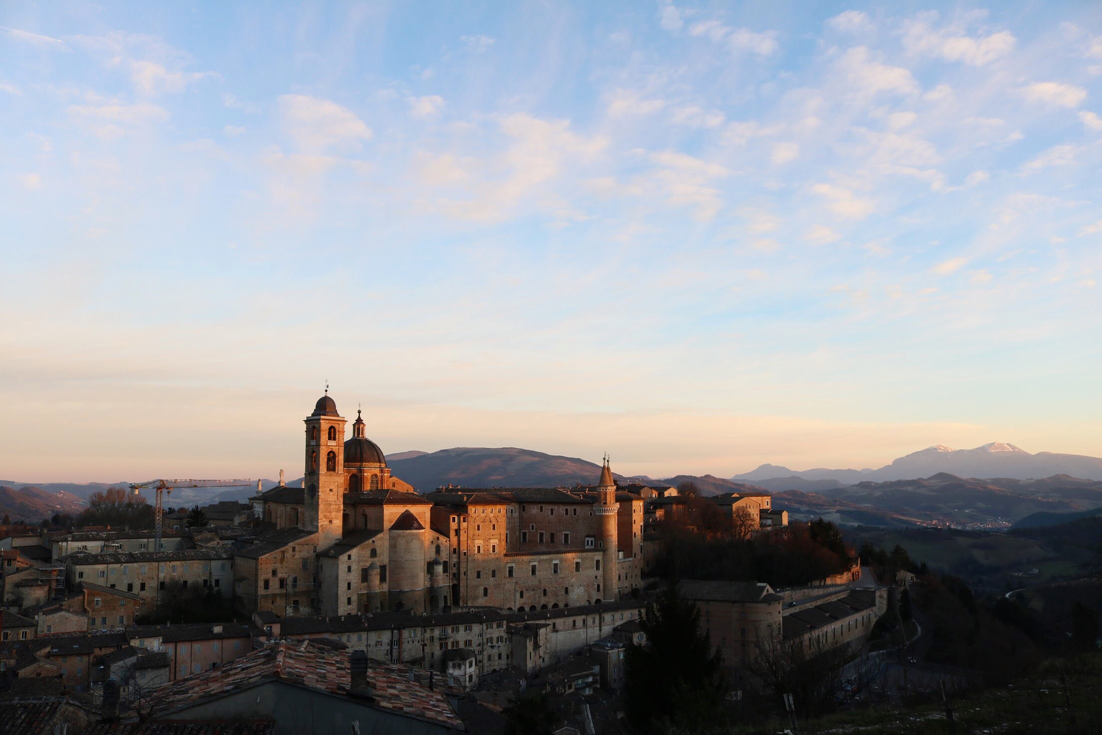  Urbino 