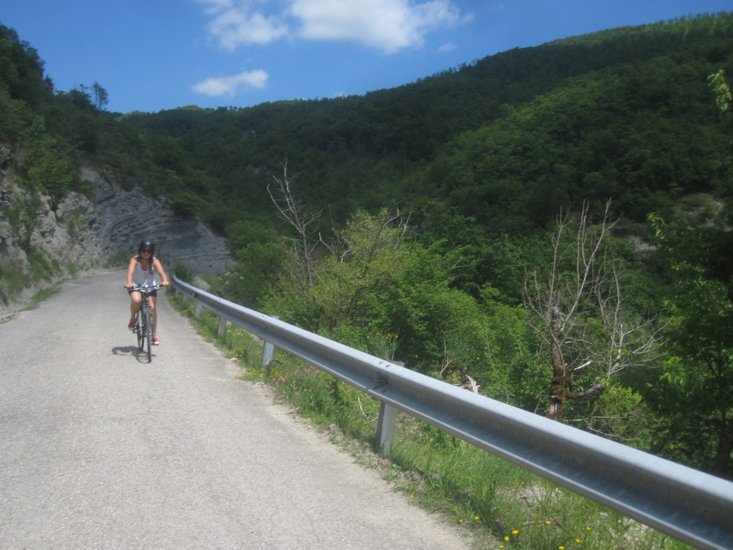 Hire a range of bikes from HikeandBike, Sansepolcro. Hills or valley?  