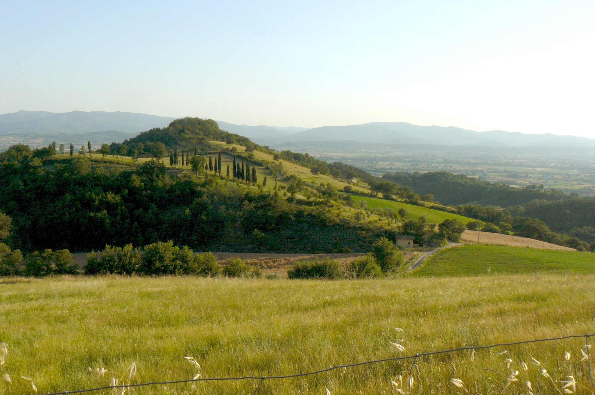  15 mins walk up lane …view of the nearest ‘ridge walk’ across Castiglione to San Giustino. 