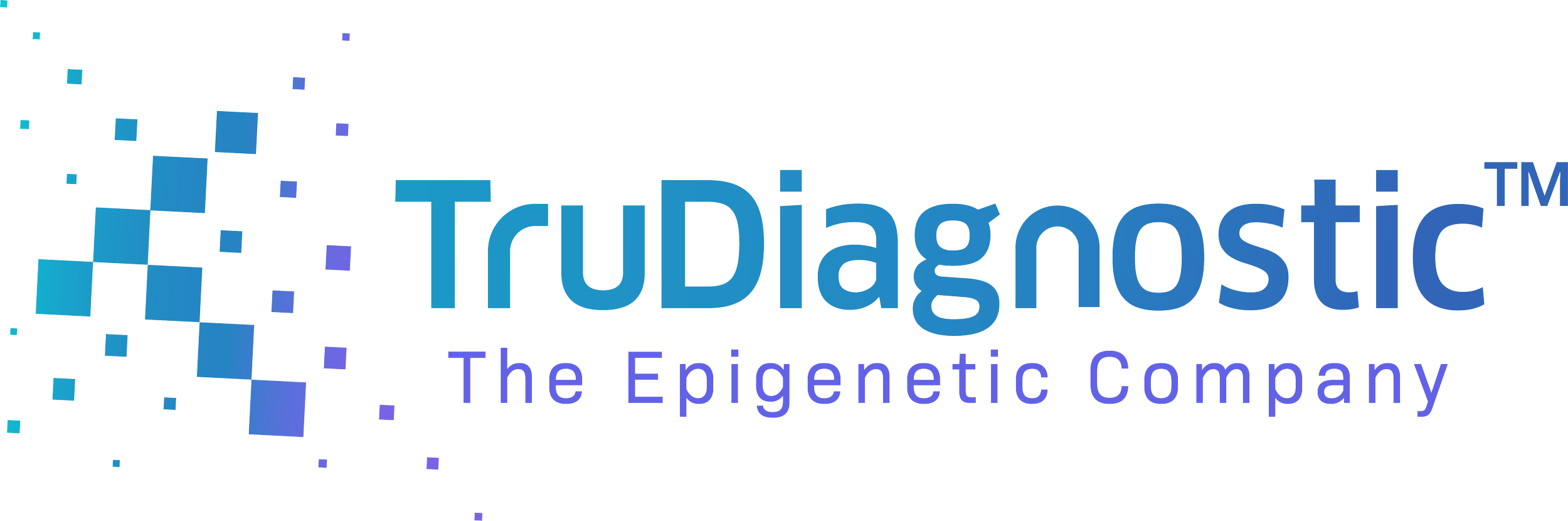 1. TruDiagnostic Logo .png