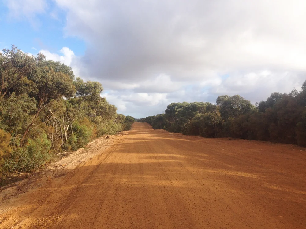  The ride from Vivonne Bay to Penneshaw: to catch ferry to Mainland. I have decided to stay away from the highway and go through this gravel road. No vehicles and lot of wildlife on the way. 