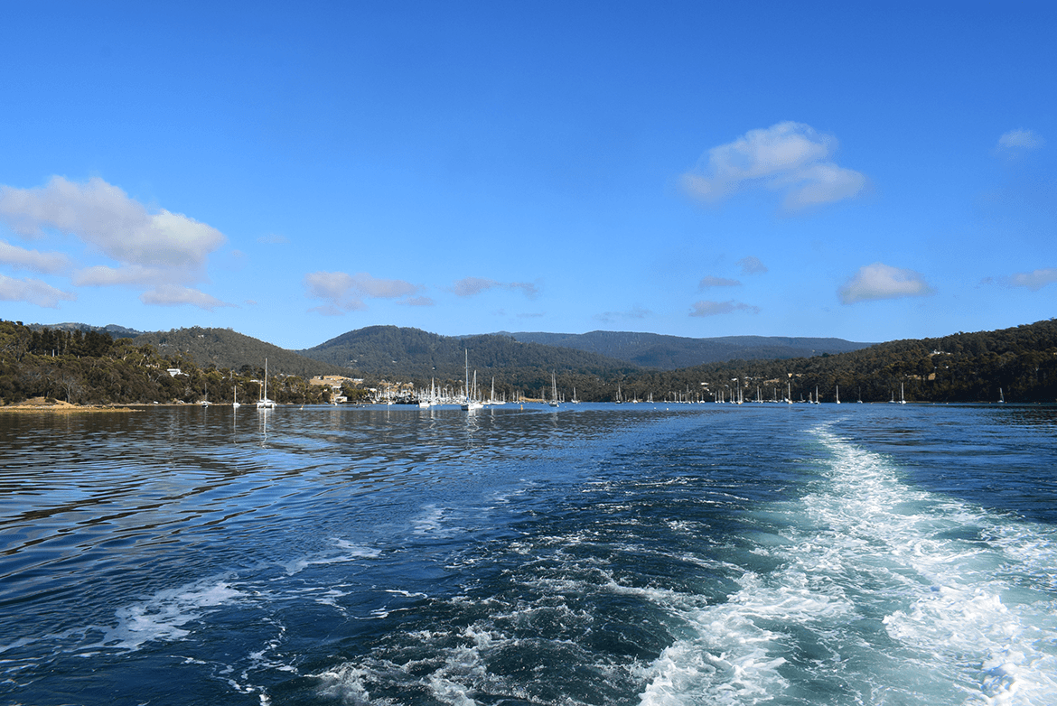  On the way to Bruny Island. 
