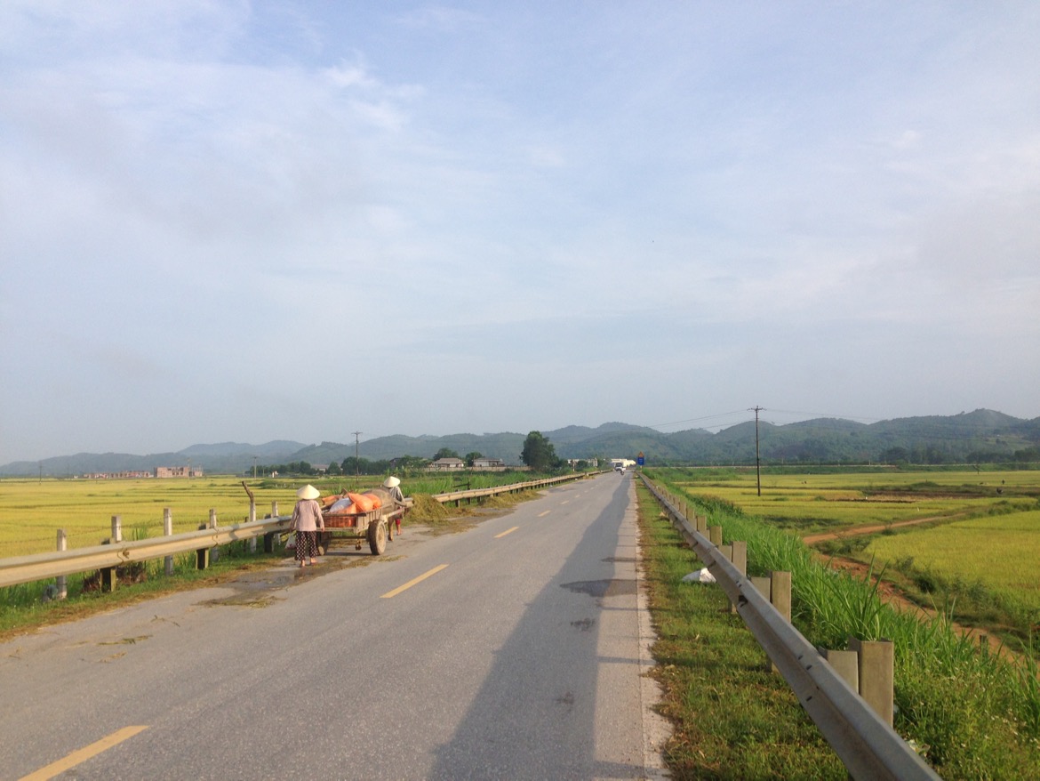  Beautiful country side with rice fields. 
