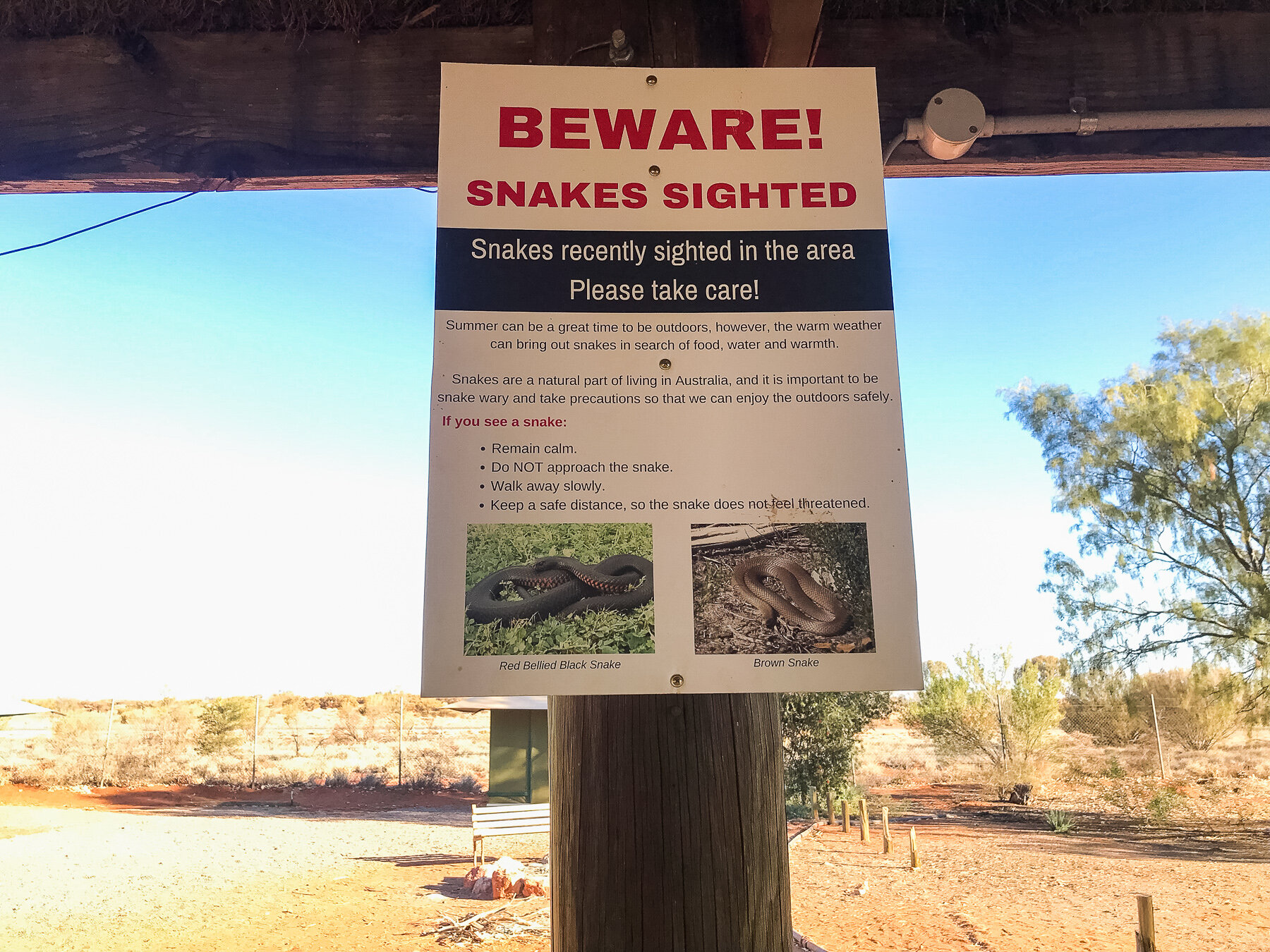  During my camping trip in Australia, I made sure to be cautious of snakes while walking or setting up my tent. To ensure my safety, I developed a routine to check the area before pitching my tent. This helped me avoid any potential danger and gave m